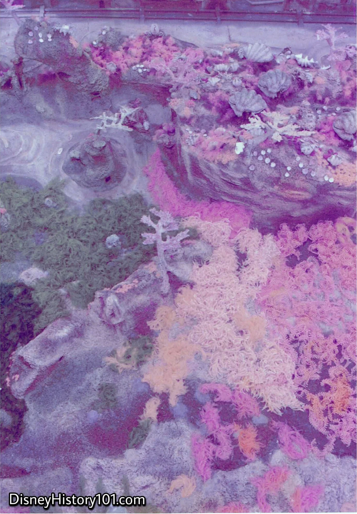 INTERMEDIATE LAGOON (drained), c. 1972