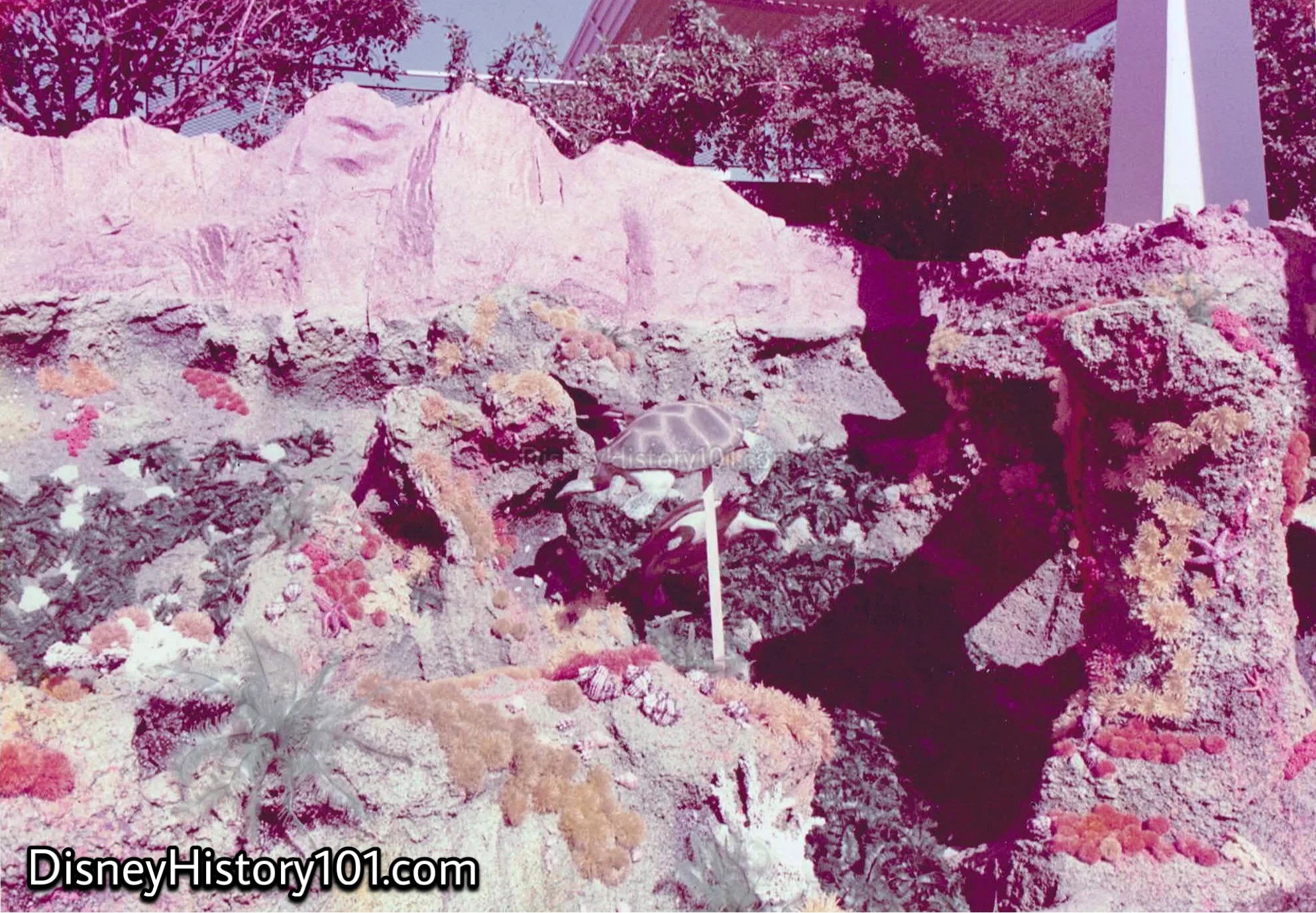 INTERMEDIATE LAGOON (drained), c. 1972