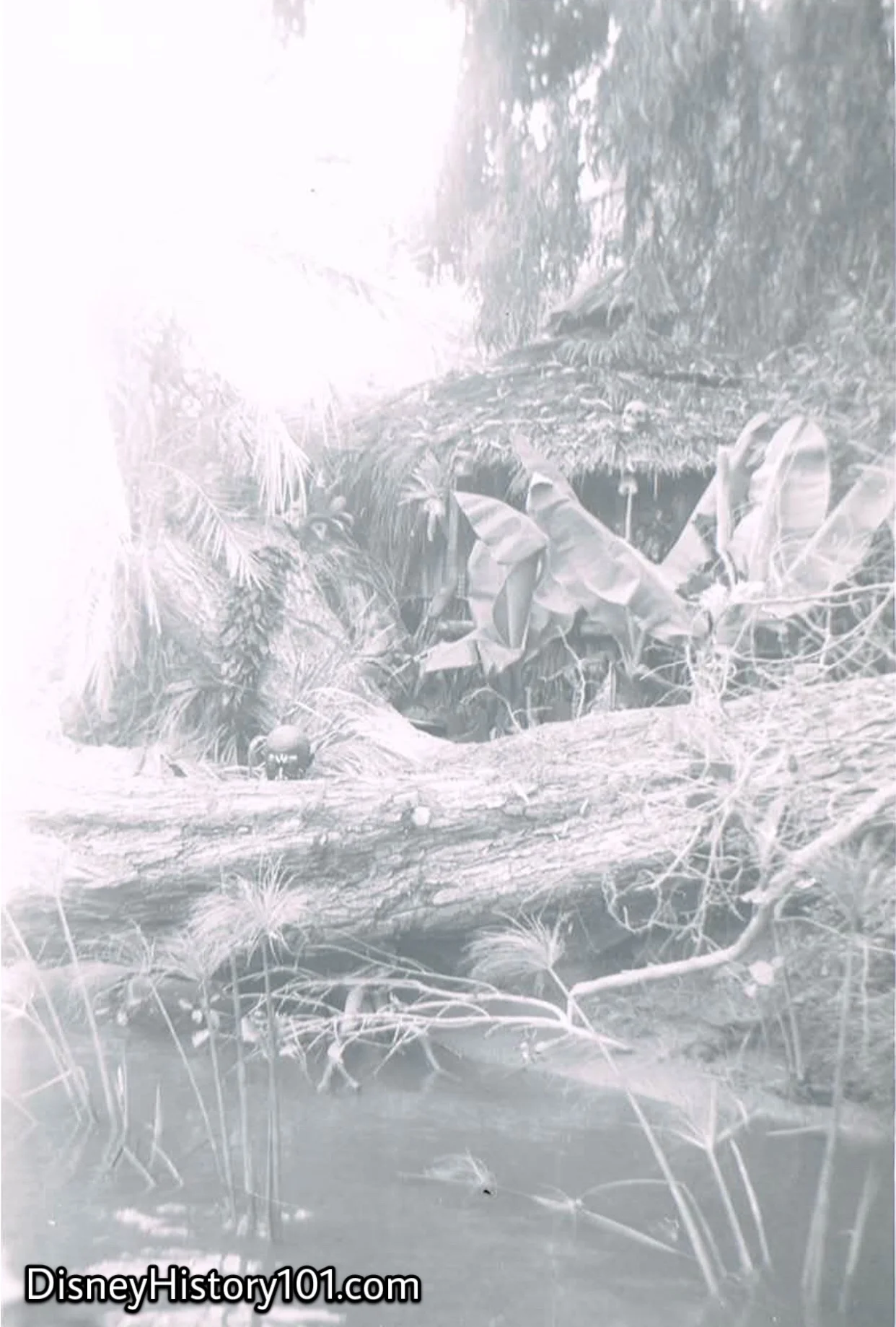 Watusi Village, (1955)