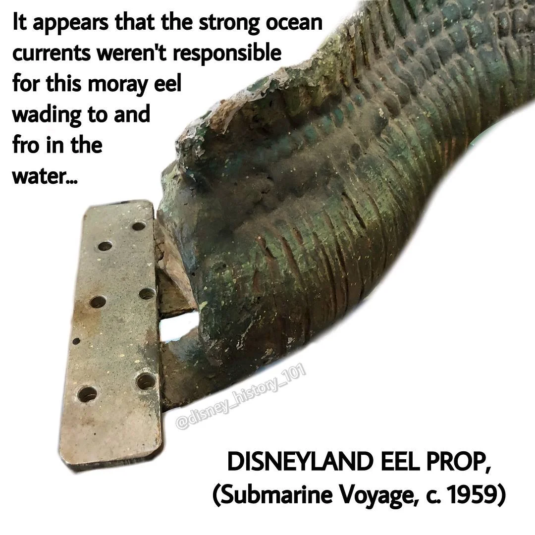 MORAY EEL Animatronic Figure, Van Eaton Galleries