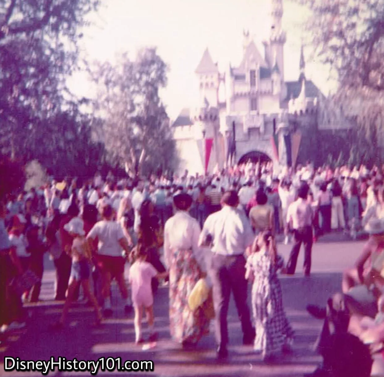 Sleeping Beauty Castle