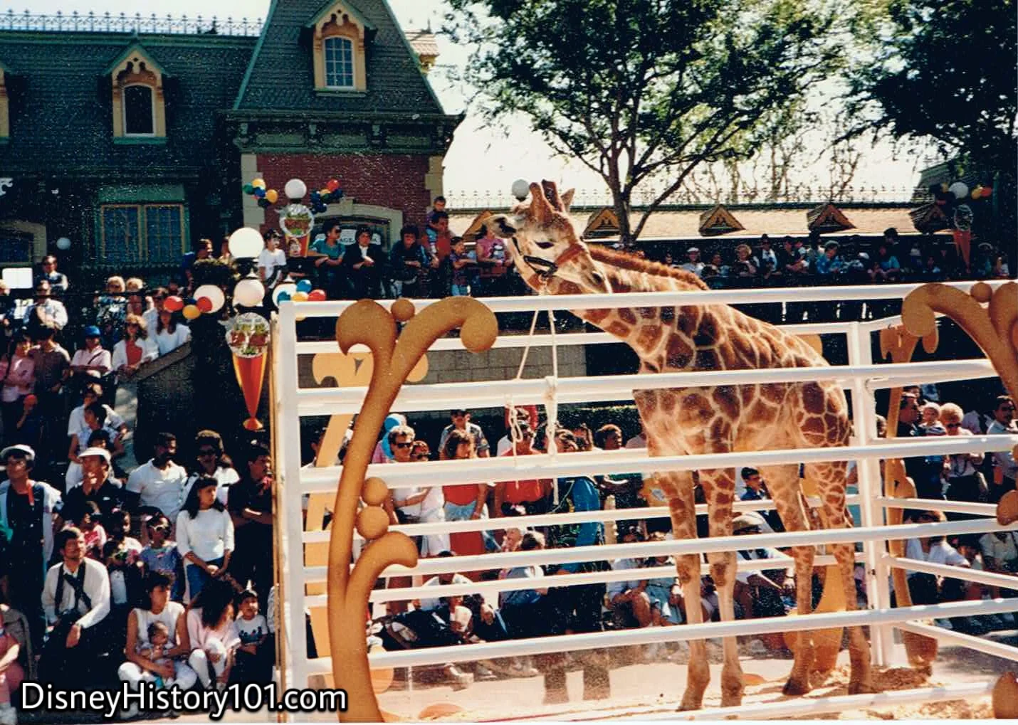 1987.