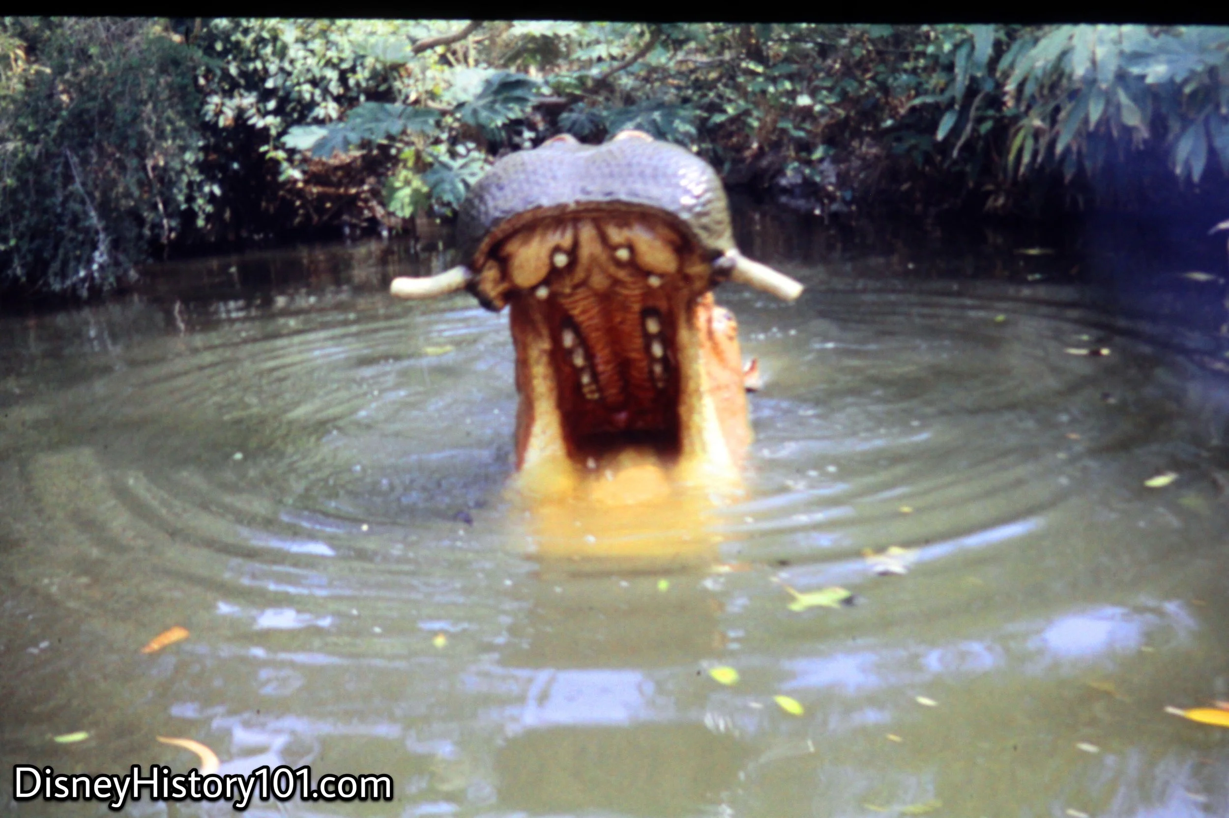   “Look out, …another hippo!”  