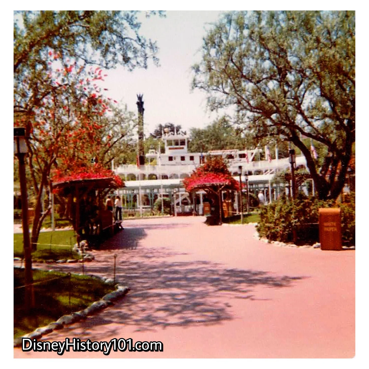 The composite flowering trees (bougainvillea supported by unique natural sculptures of an Australian tea trees) of El Zocalo Park, 1978.