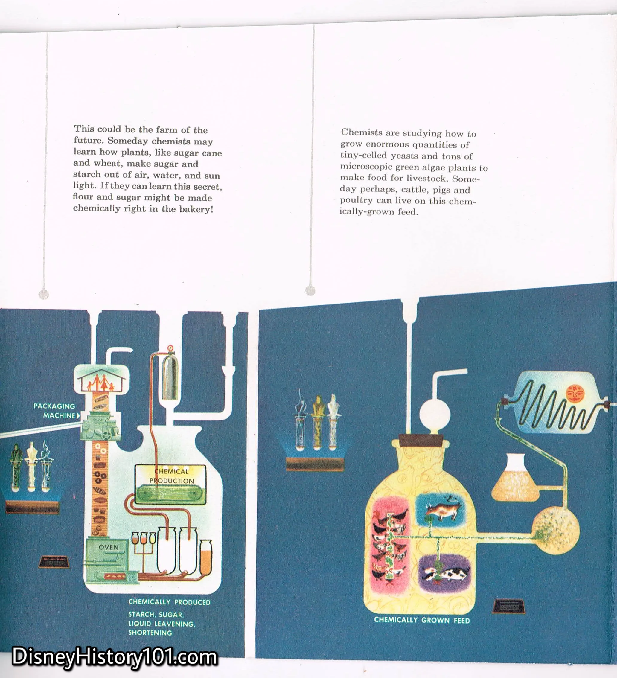 Monsanto Chemical Company's Hall of Chemistry Souvenir Pamphlet