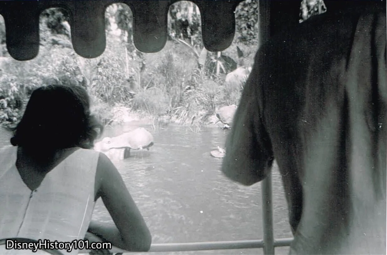 “HIPPO POOL”, (September, 1955)