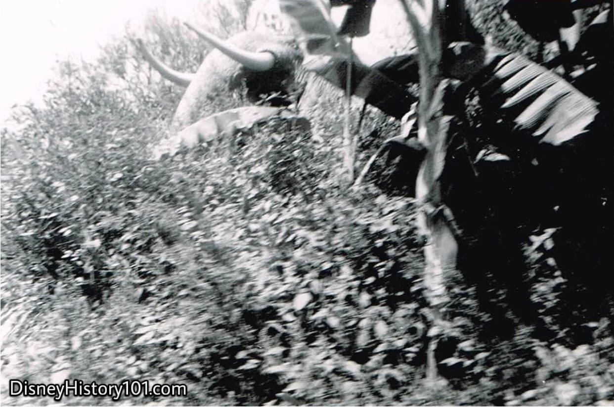 African Bull Elephant, (September, 1955)
