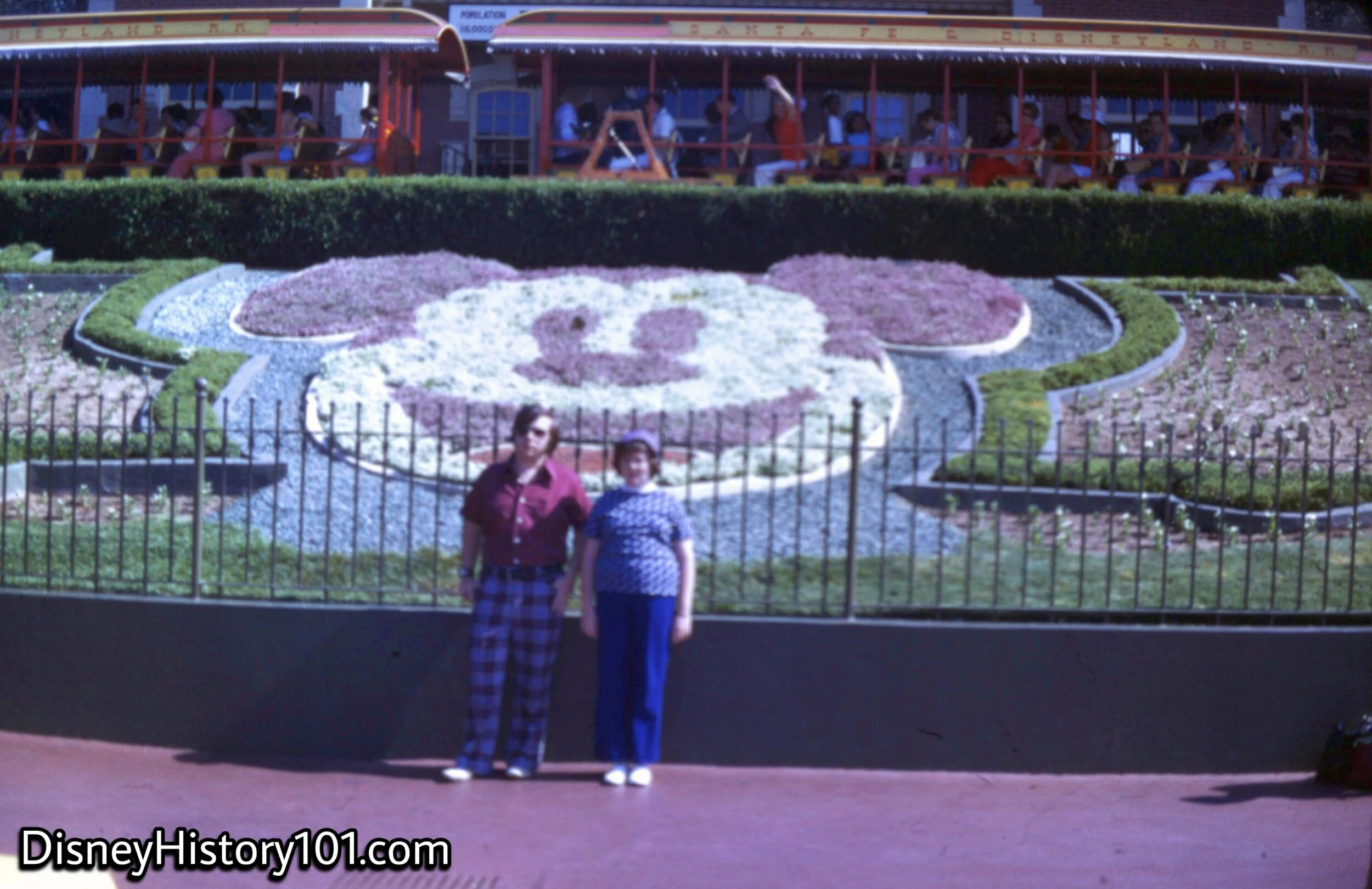 Mickey Mouse Floral Portrait