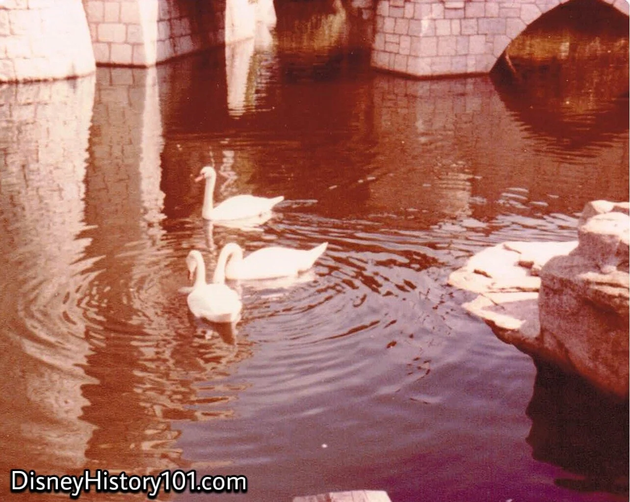 Sleeping Beauty Castle