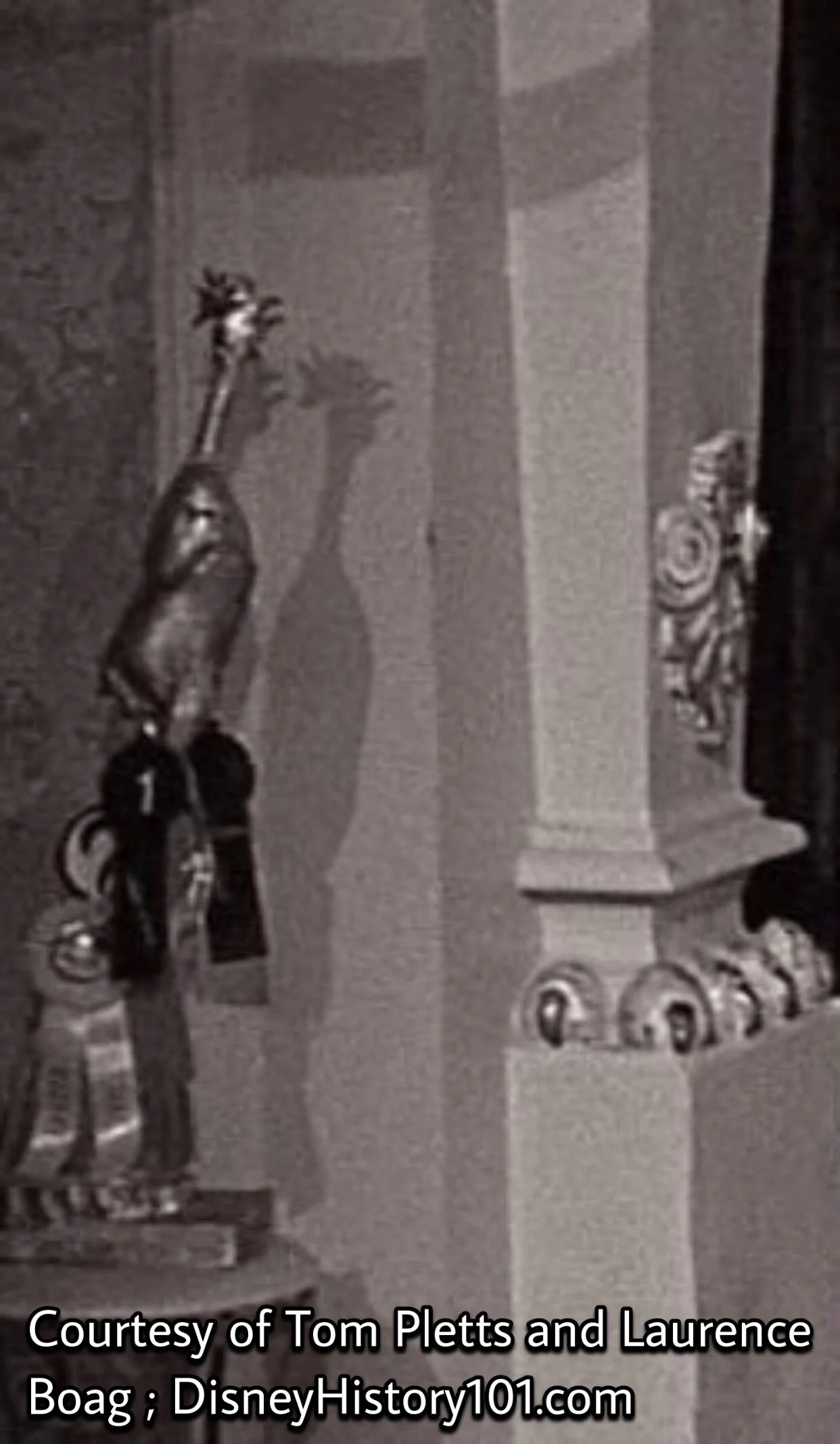 1971, Chicken Ranching For Fun & Profit