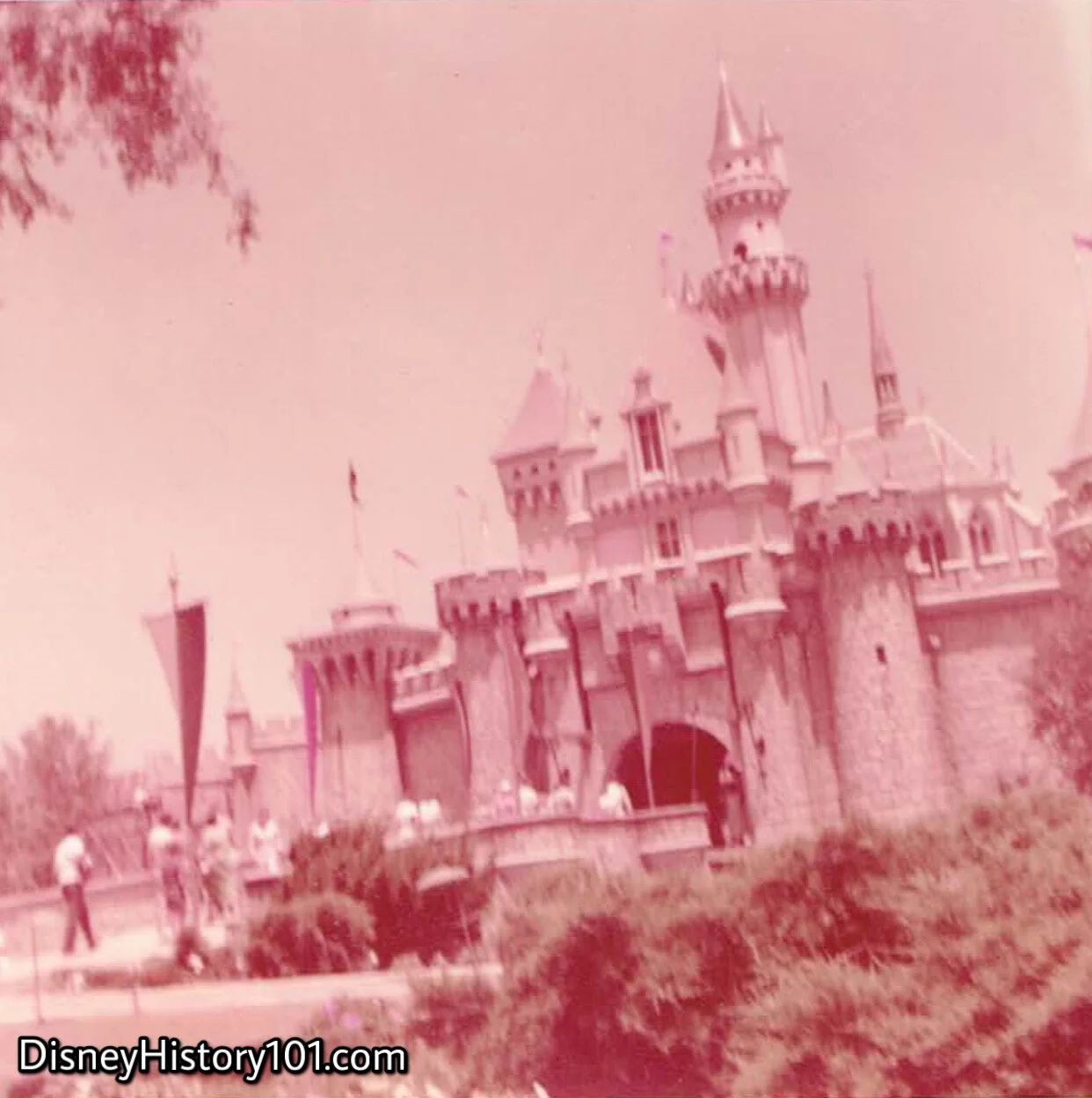 Sleeping Beauty Castle