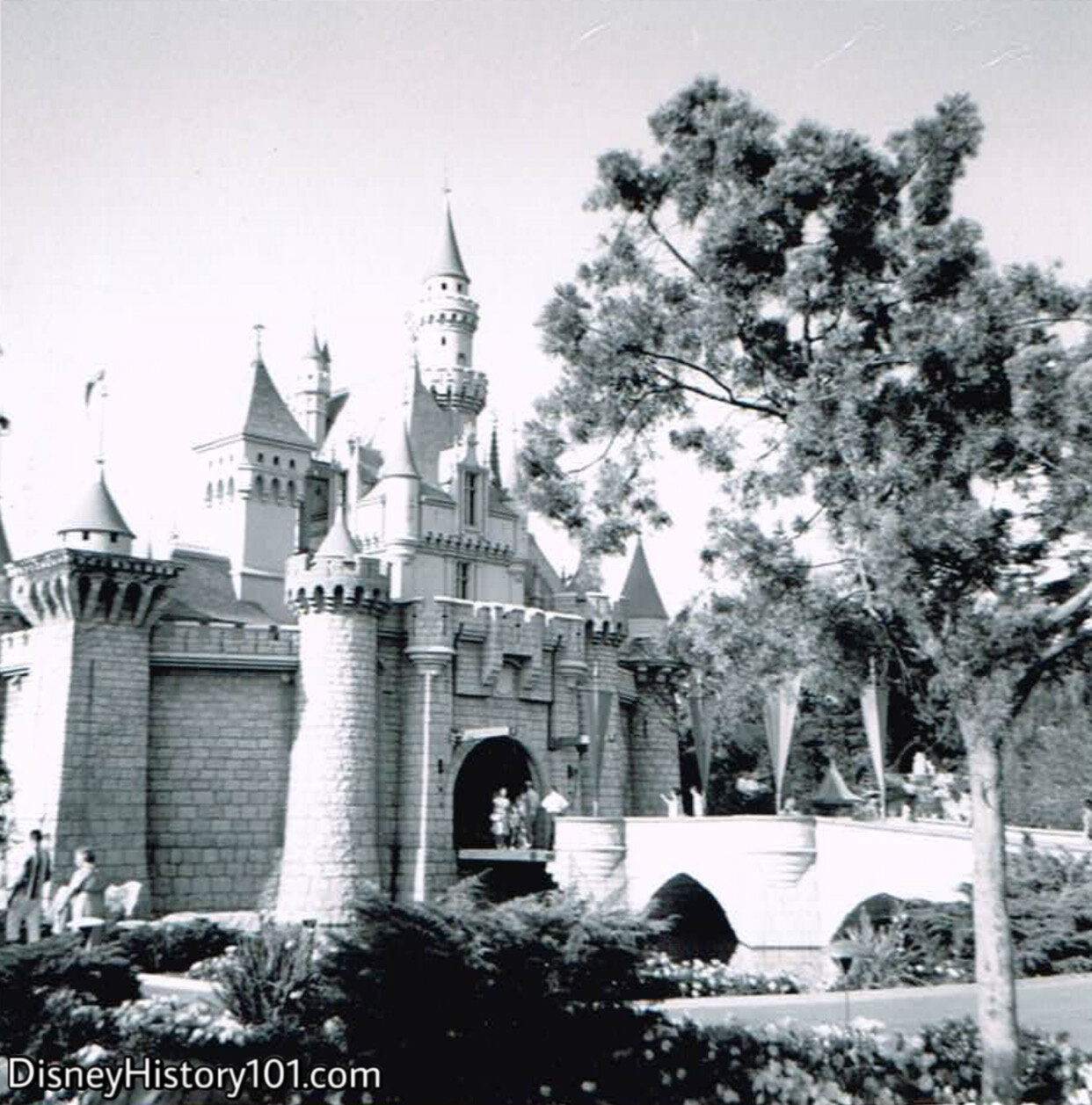 Sleeping Beauty Castle