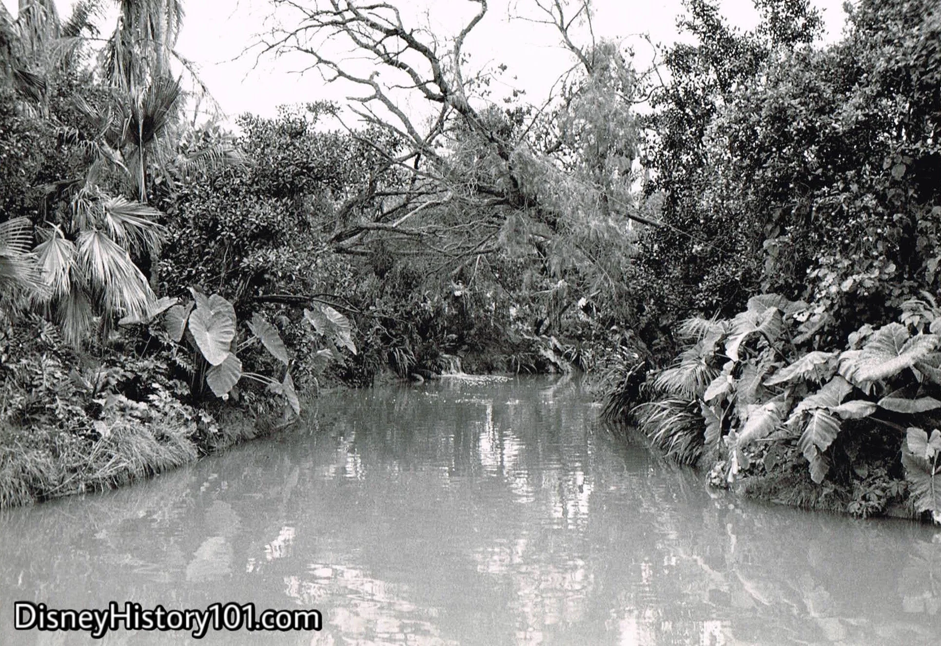 “IRRIWADDY RIVER OF BURMA”, c. 1955