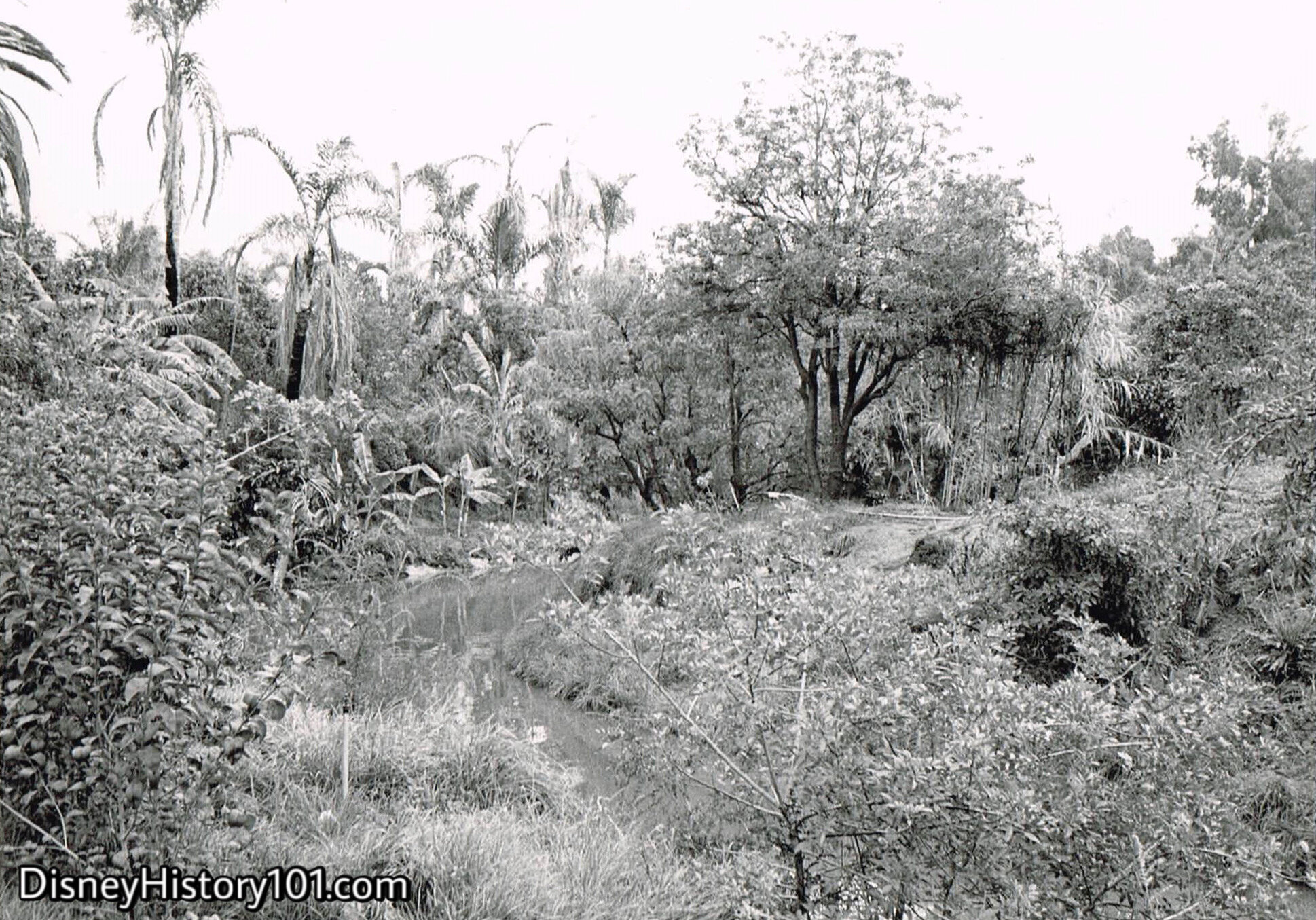 “IRRIWADDY RIVER OF BURMA”, c. 1955