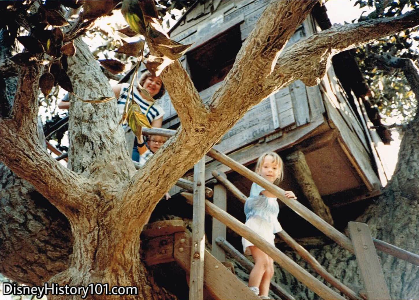 Tom & Huck's Tree House