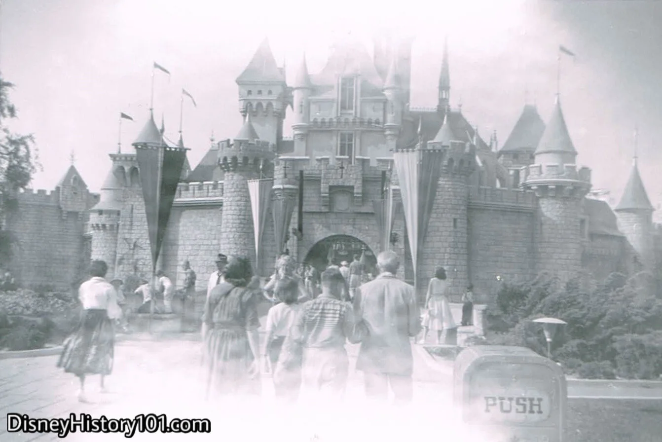 Sleeping Beauty Castle