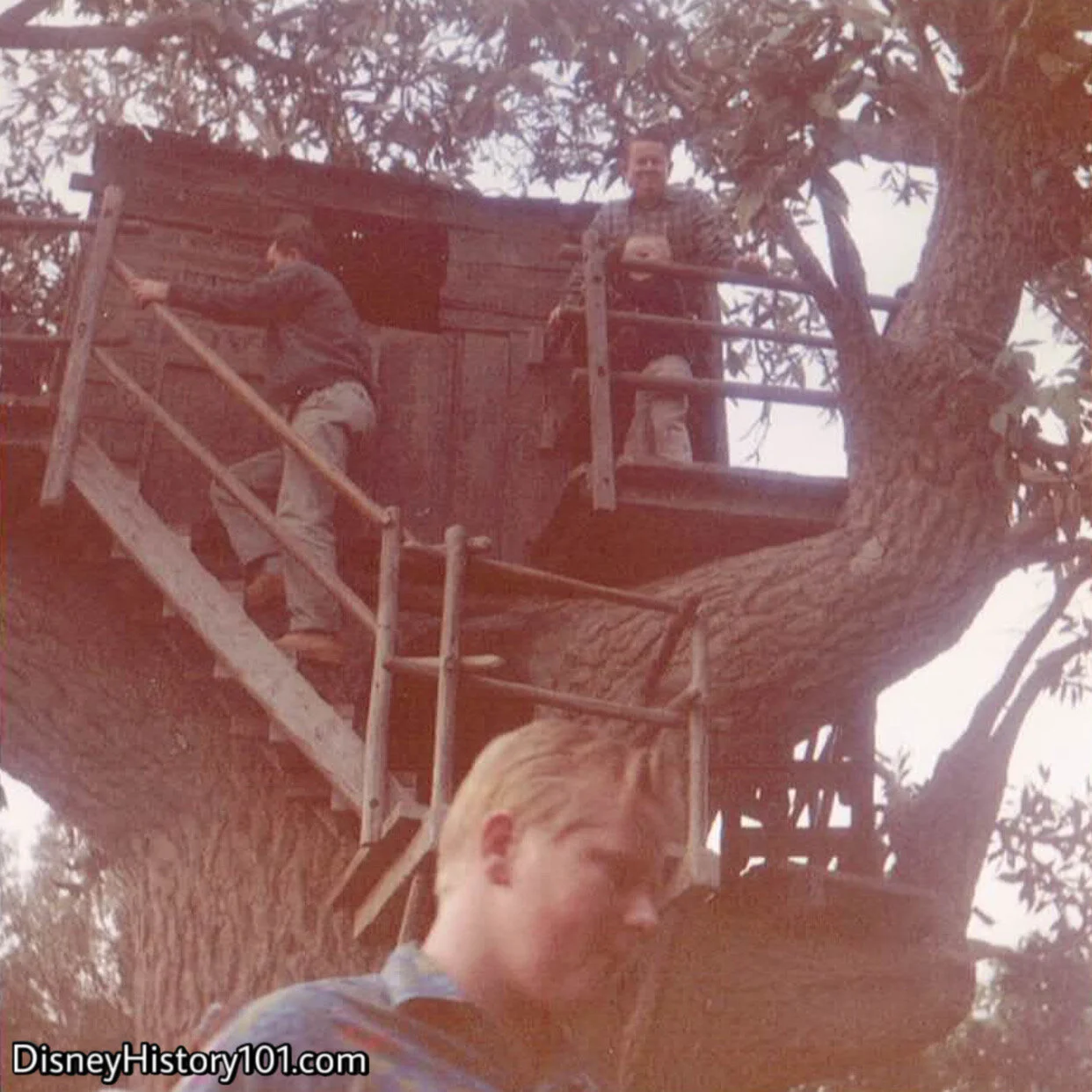 Tom & Huck's Tree House