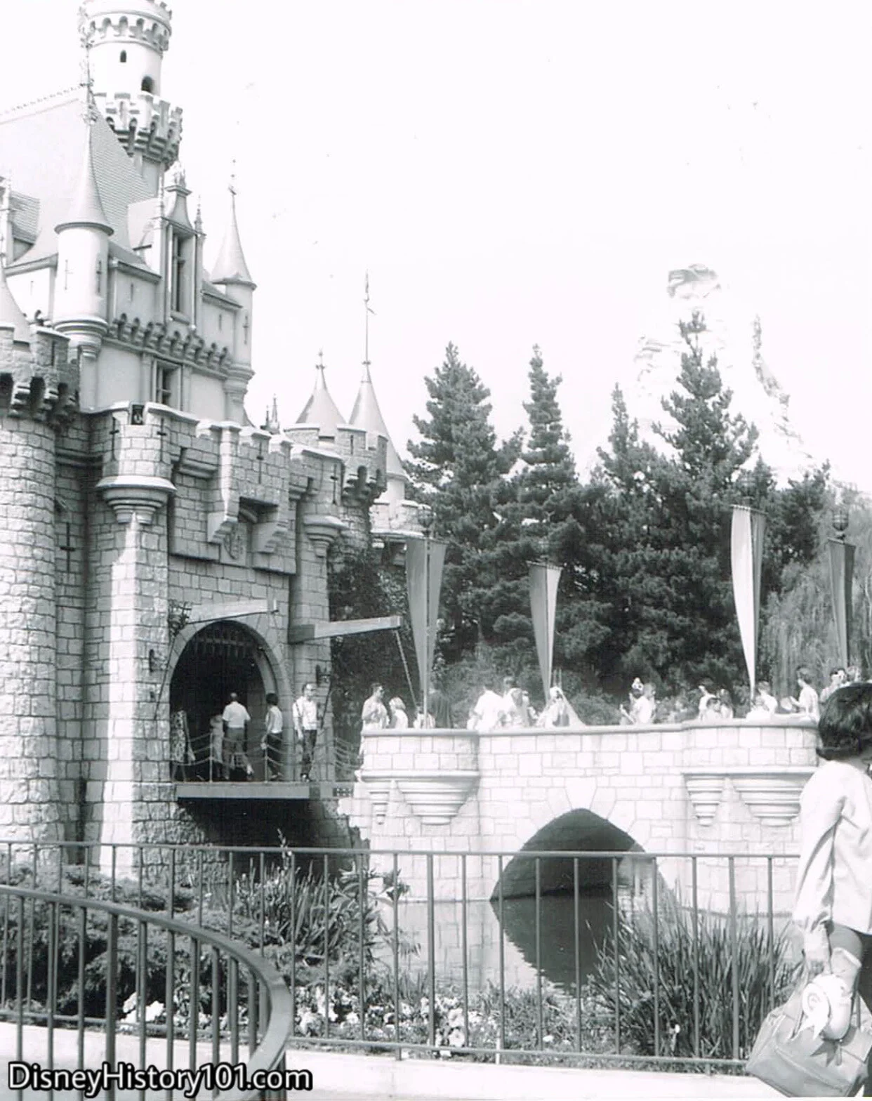 Sleeping Beauty Castle