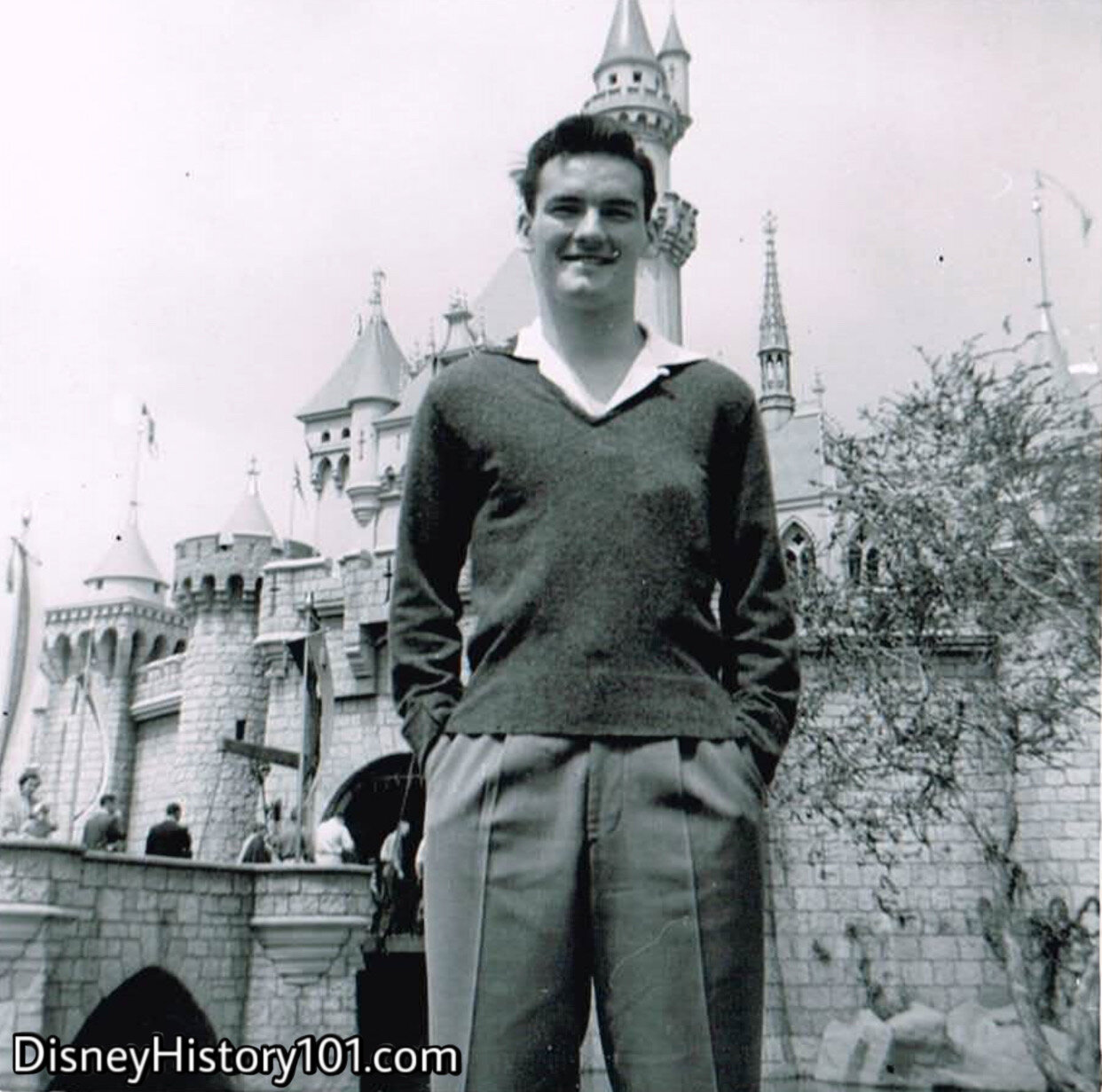Sleeping Beauty Castle