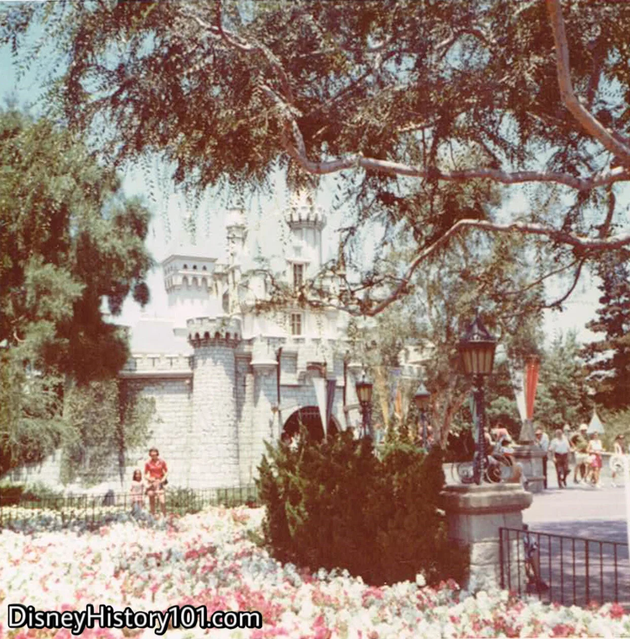 Sleeping Beauty Castle