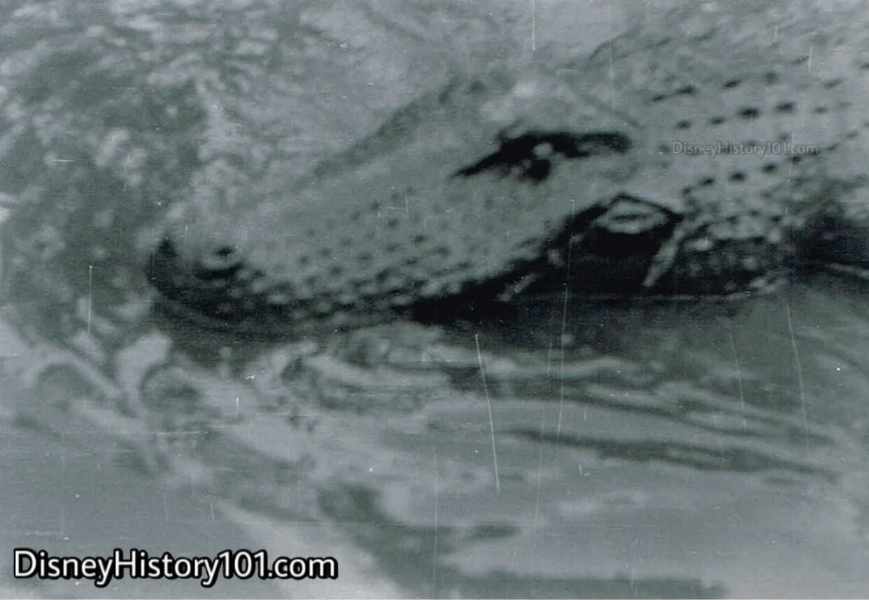 “CROCODILE INFESTED WATERS OF THE MEKONG RIVER, ASIA”