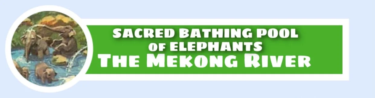  Since 1962, this playful herd of more than a dozen  Indian Elephants &nbsp;- “big ones and little squirts” - have used this Elephant Bathing Pool to cool themselves. The natives of the jungle say that whole herds of playful elephants.   “Arnold Rubi
