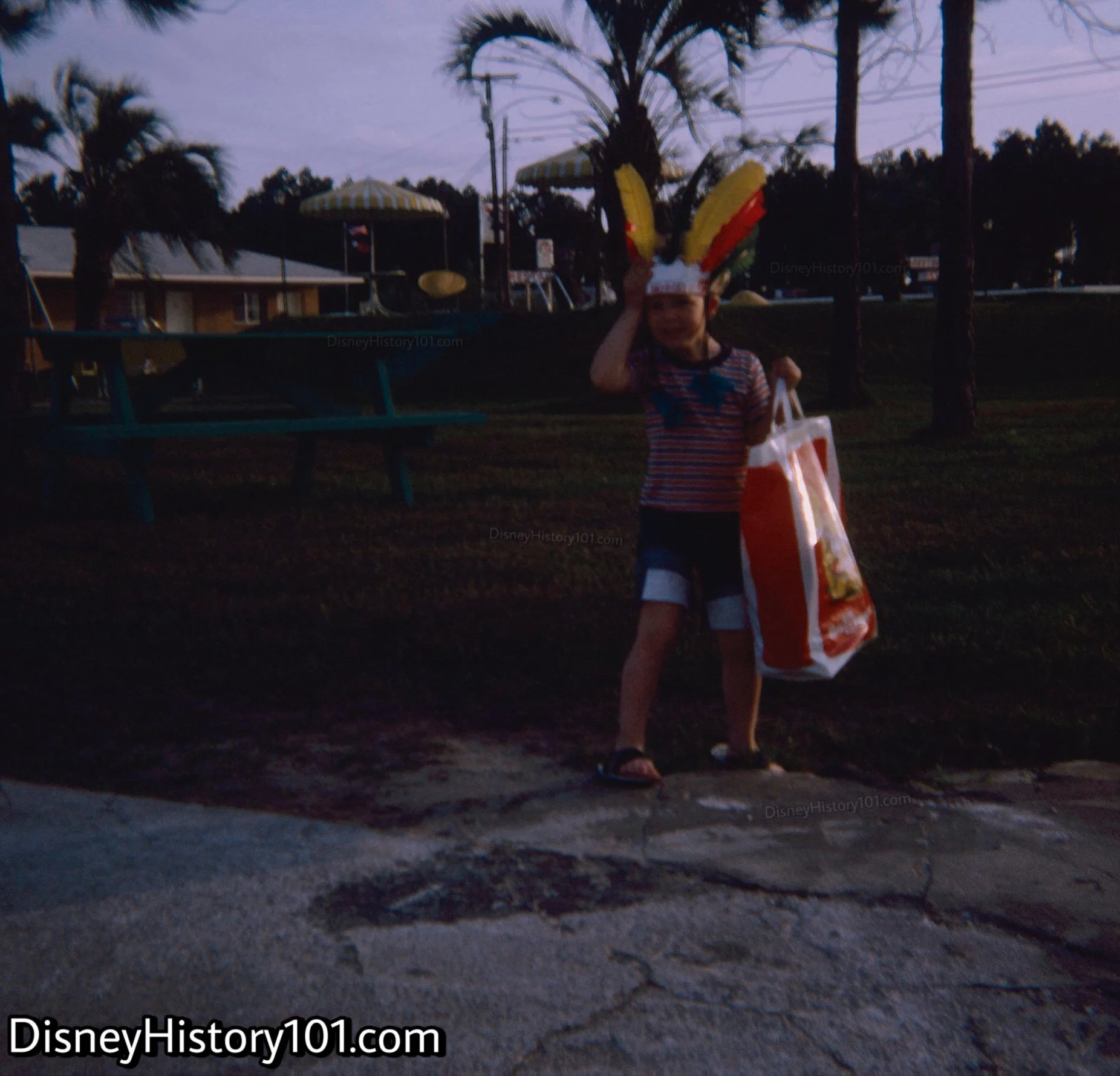 FEATHERED HEADBAND (April, 1973)