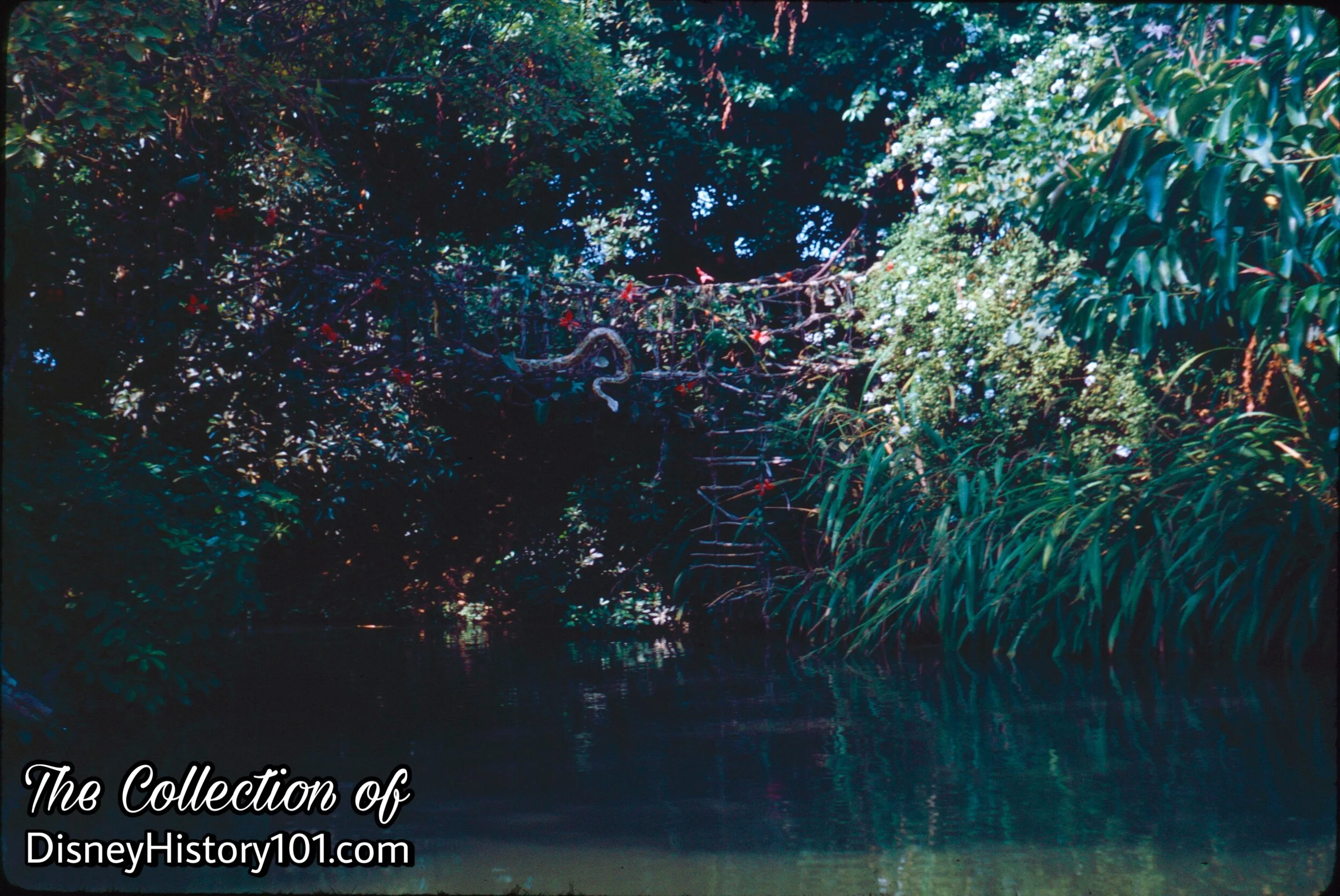 “IRRIWADDY RIVER OF BURMA” (1961) 
