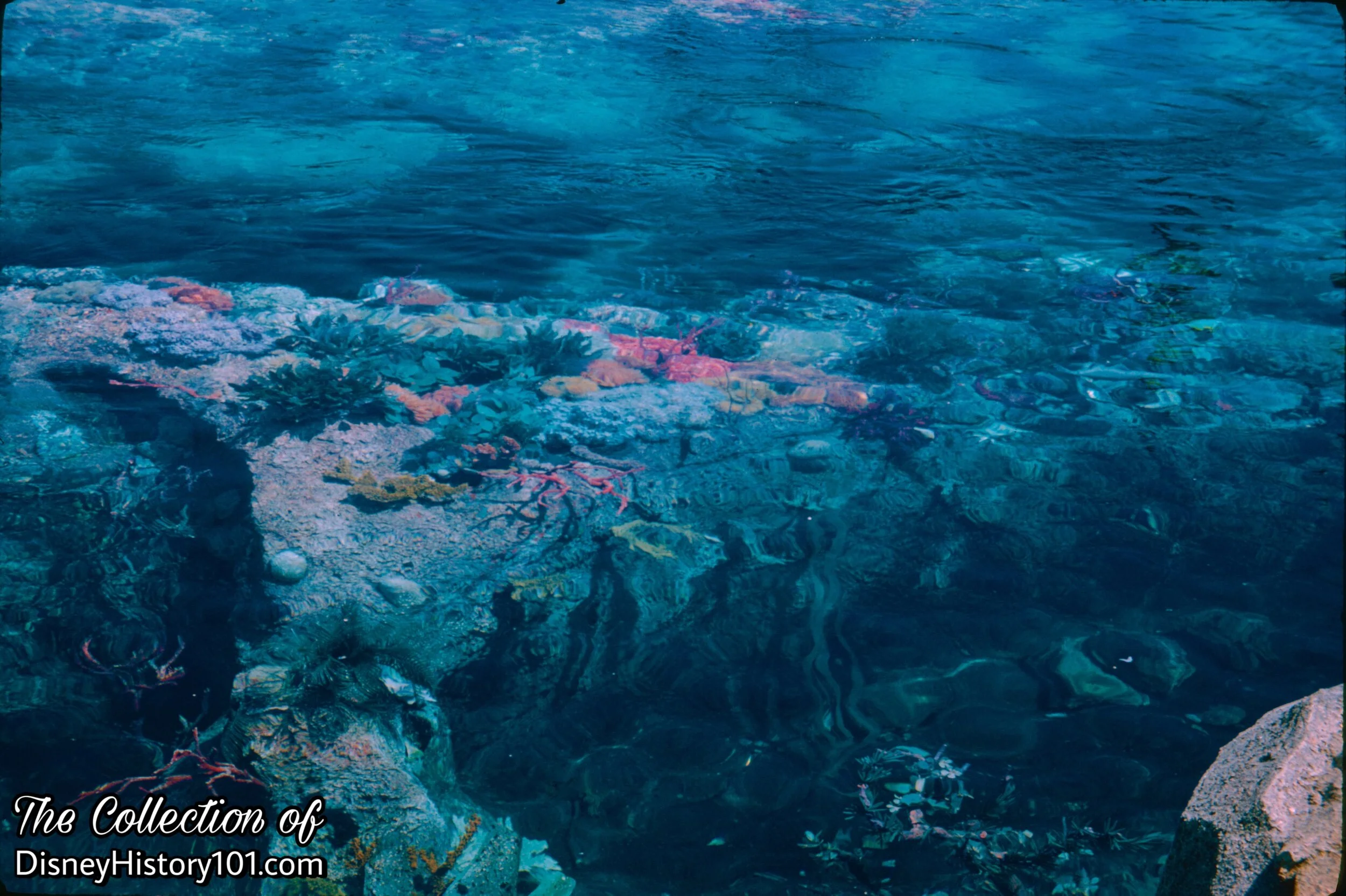 FRONT LAGOON (June, 1961)