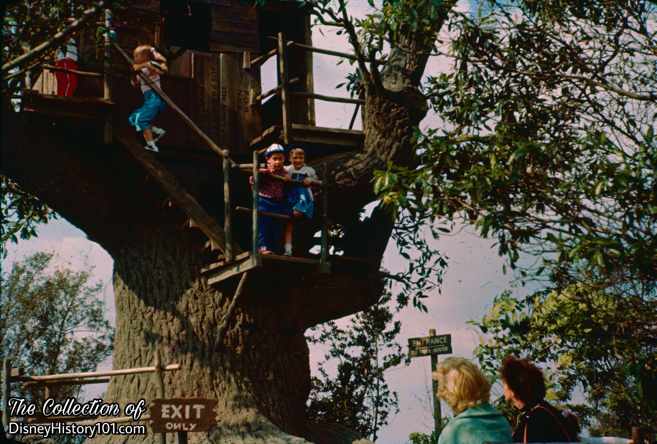 Tom & Huck's Tree House
