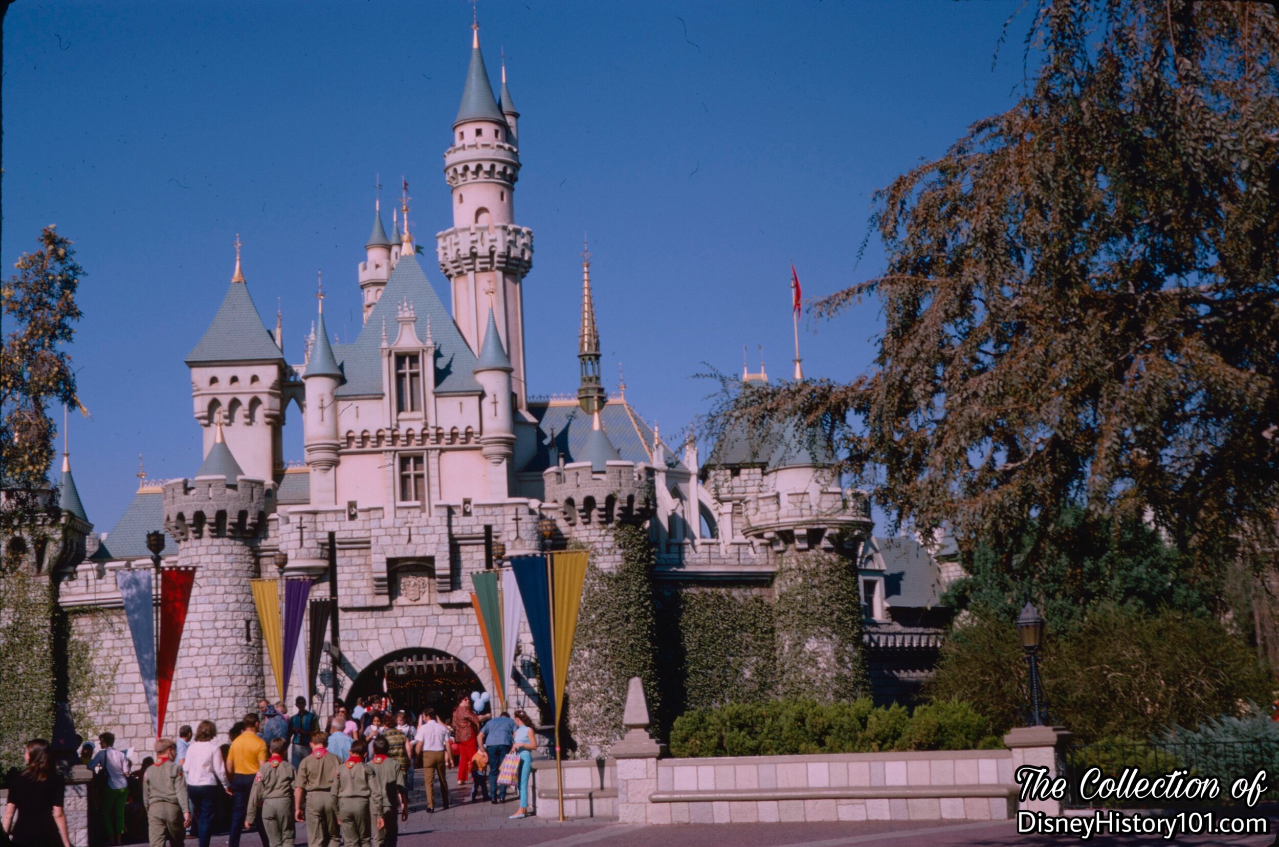 Sleeping Beauty Castle