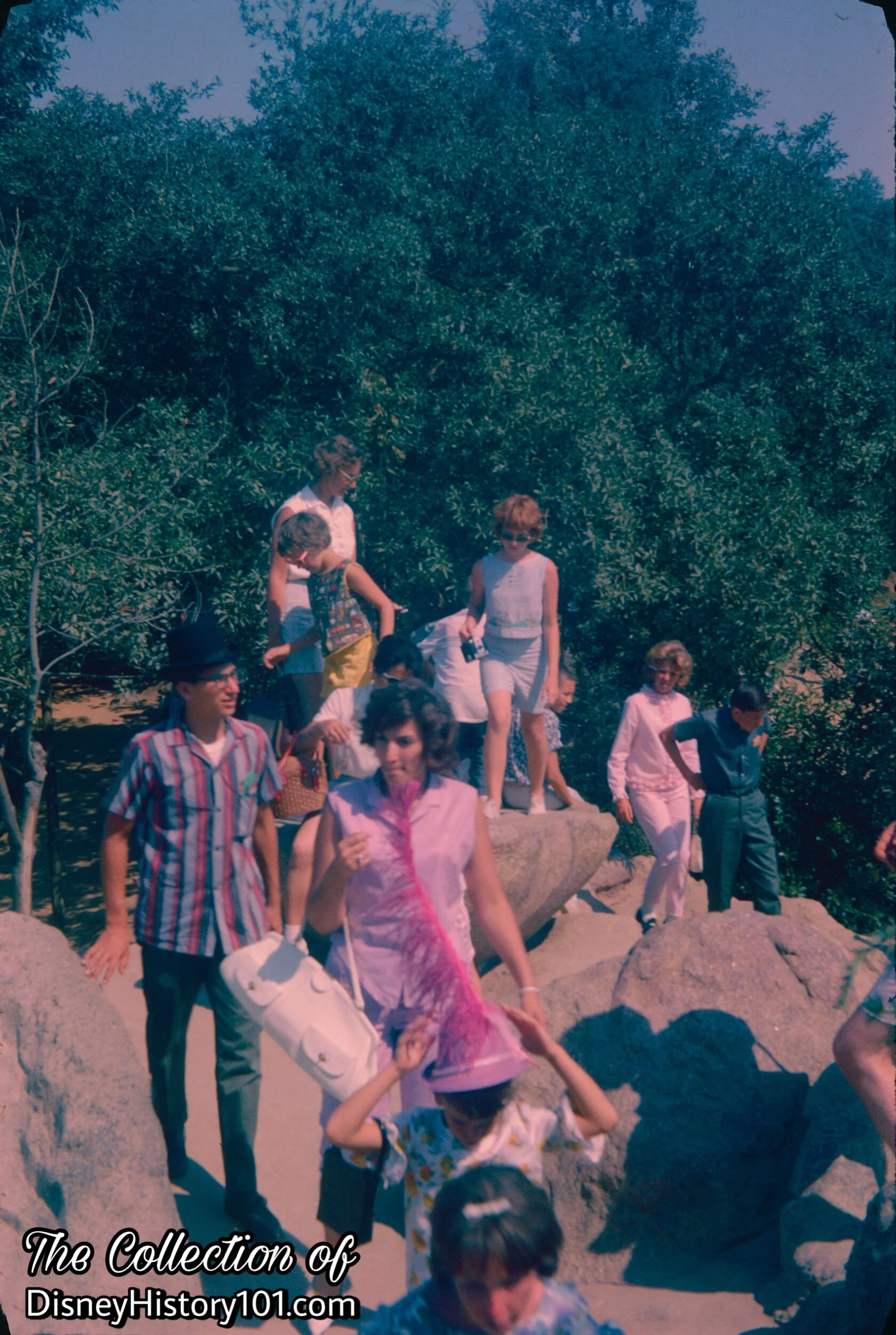 (c. August, 1962)