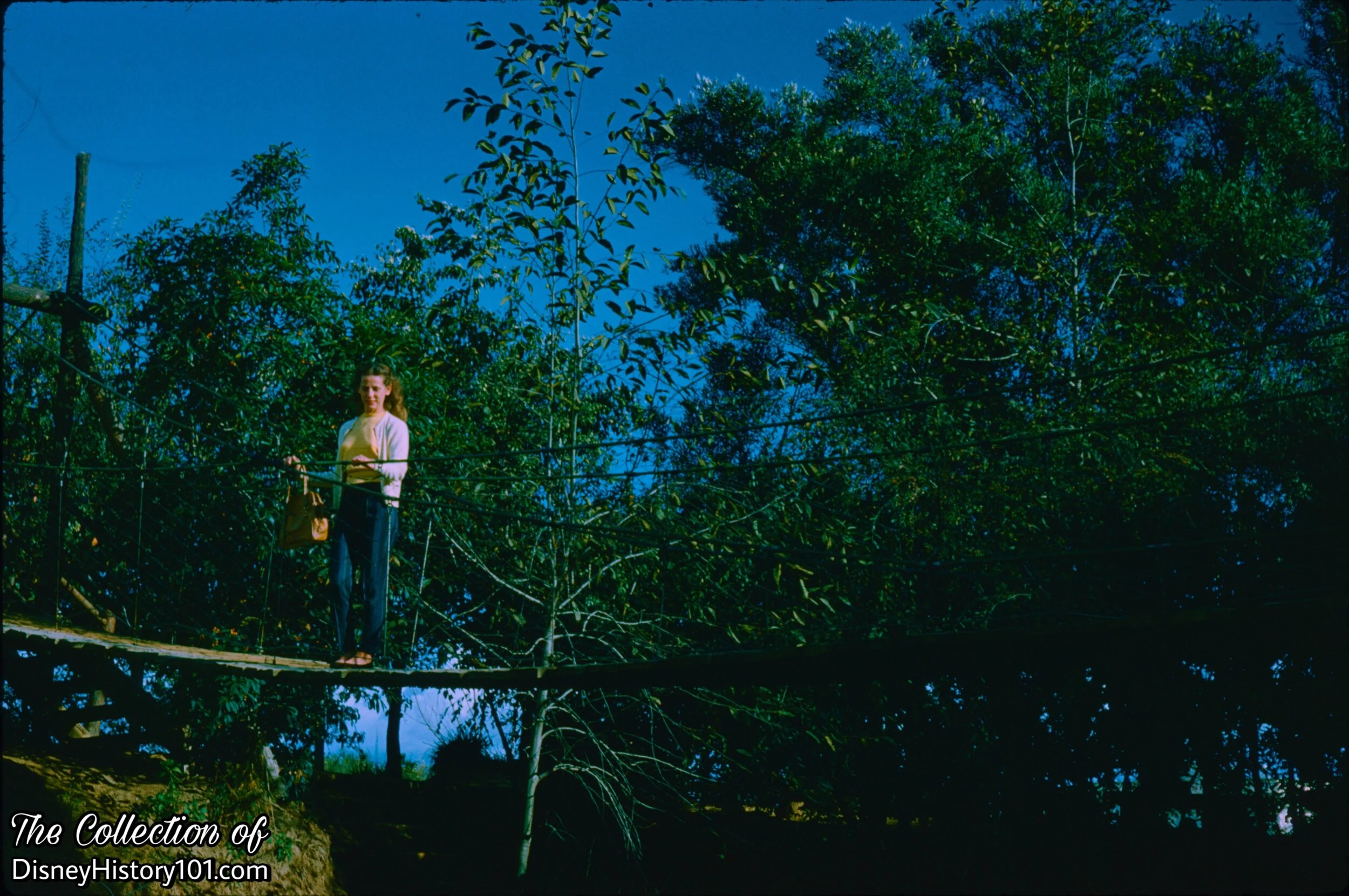 Suspension Bridge, (December 2, 1960)