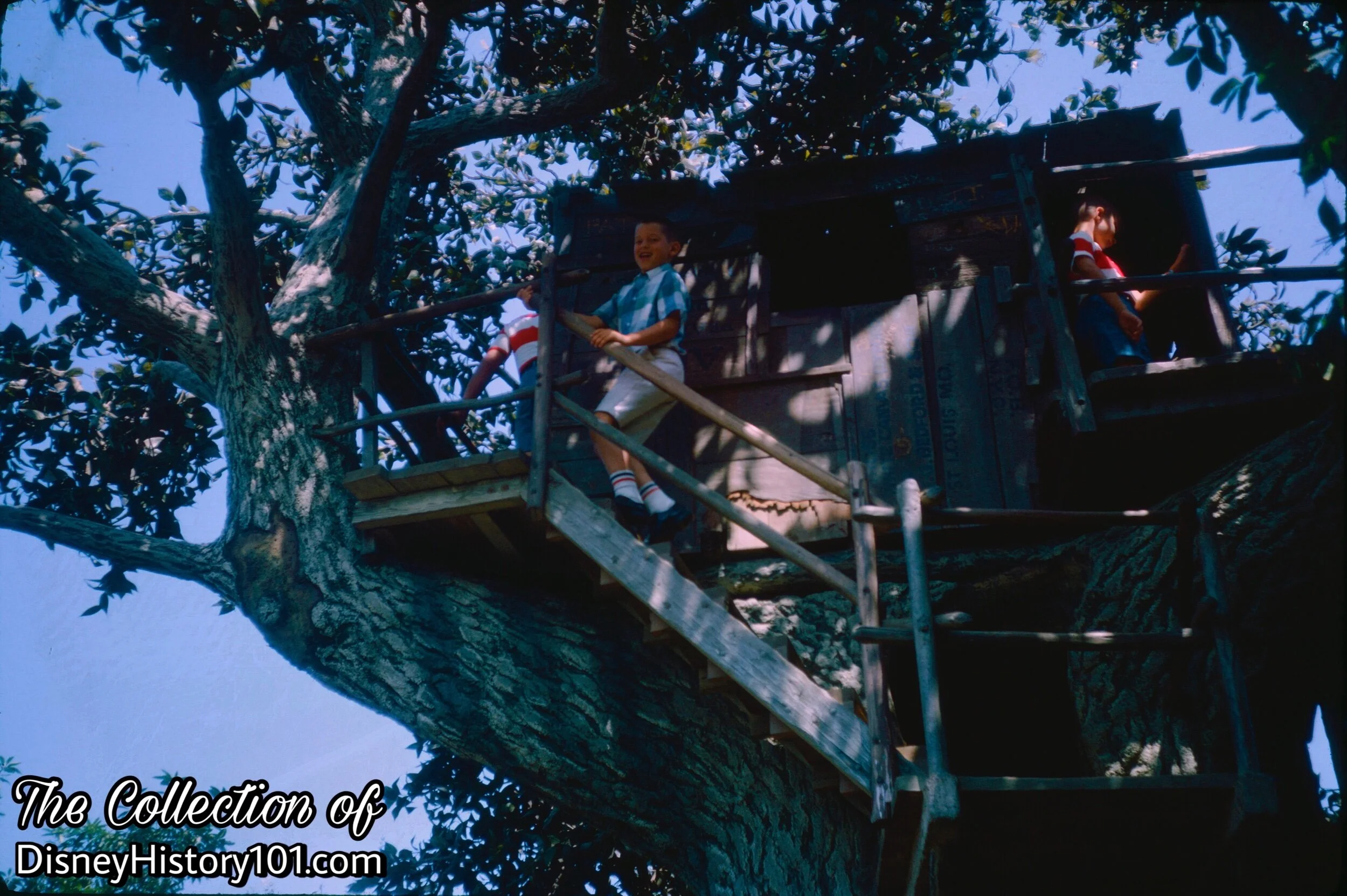 Tom & Huck's Tree House, (August, 1966)