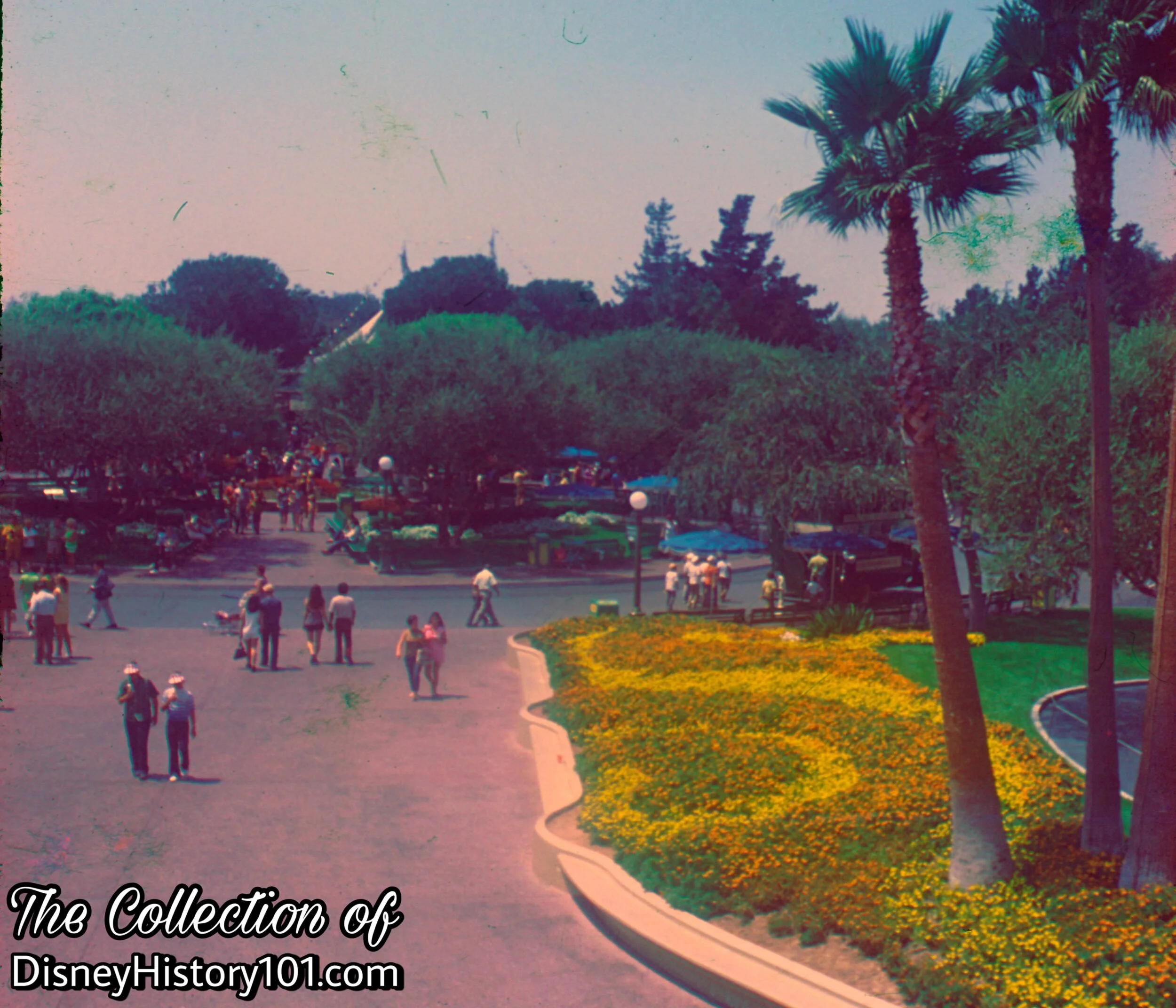 (August, 1971)