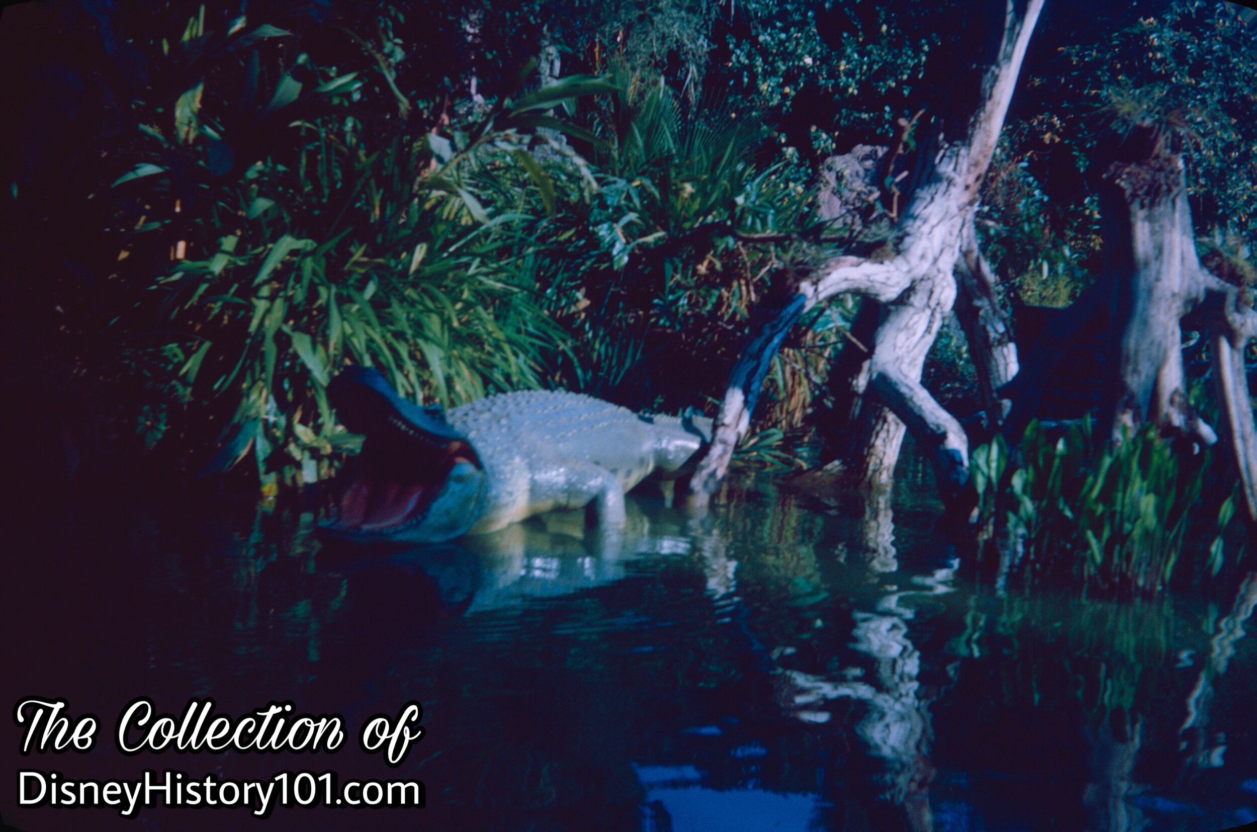 “CROCODILE INFESTED WATERS OF THE MEKONG RIVER, ASIA”, (c. August, 1962)