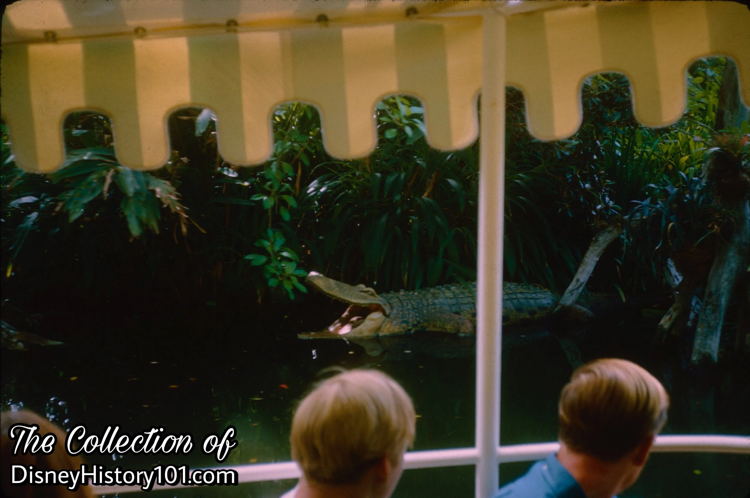 “CROCODILE INFESTED WATERS OF THE MEKONG RIVER, ASIA”, (c. August, 1966)