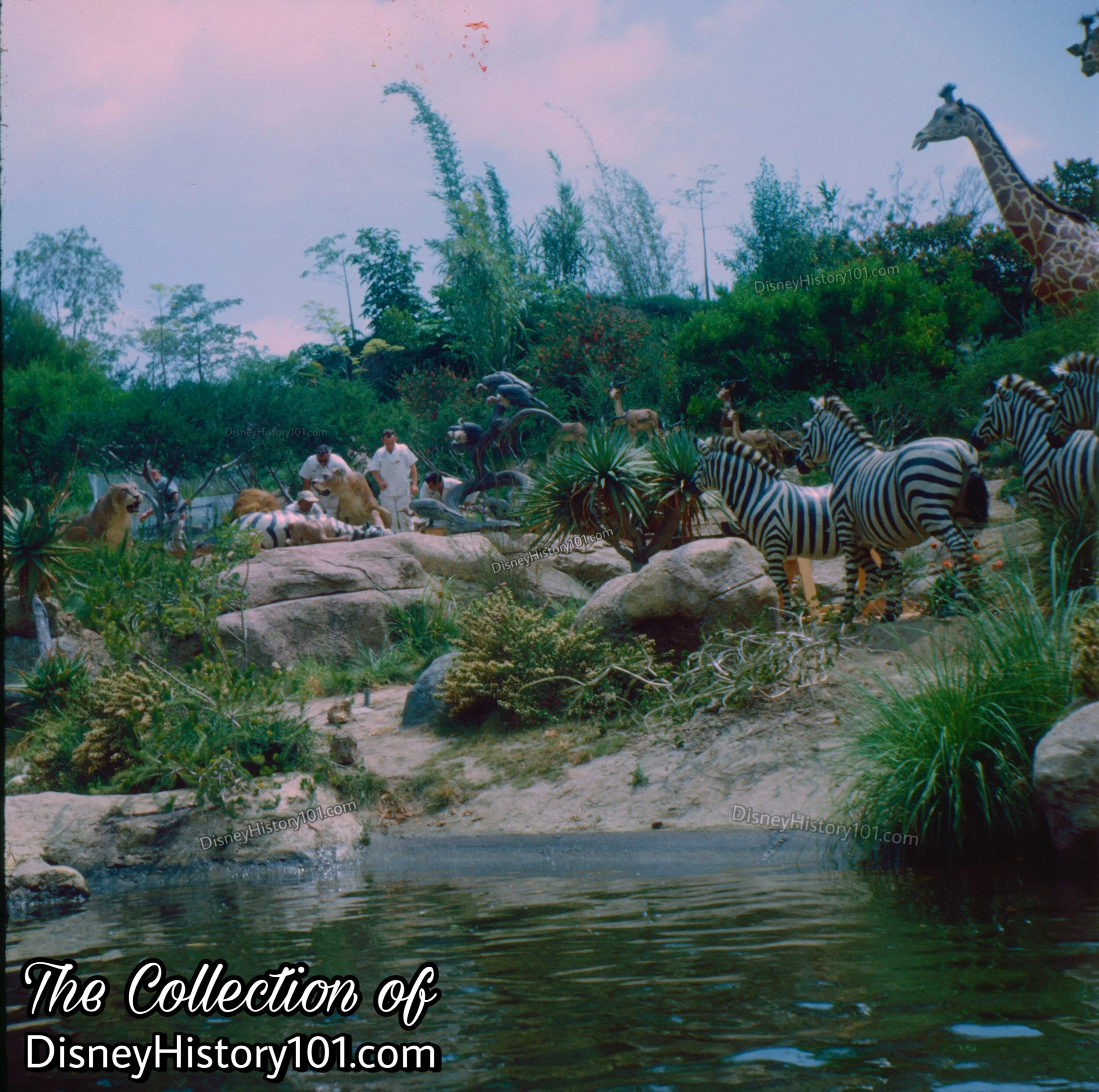 AFRICAN VELDT CONSTRUCTION, (c. July, 1964)