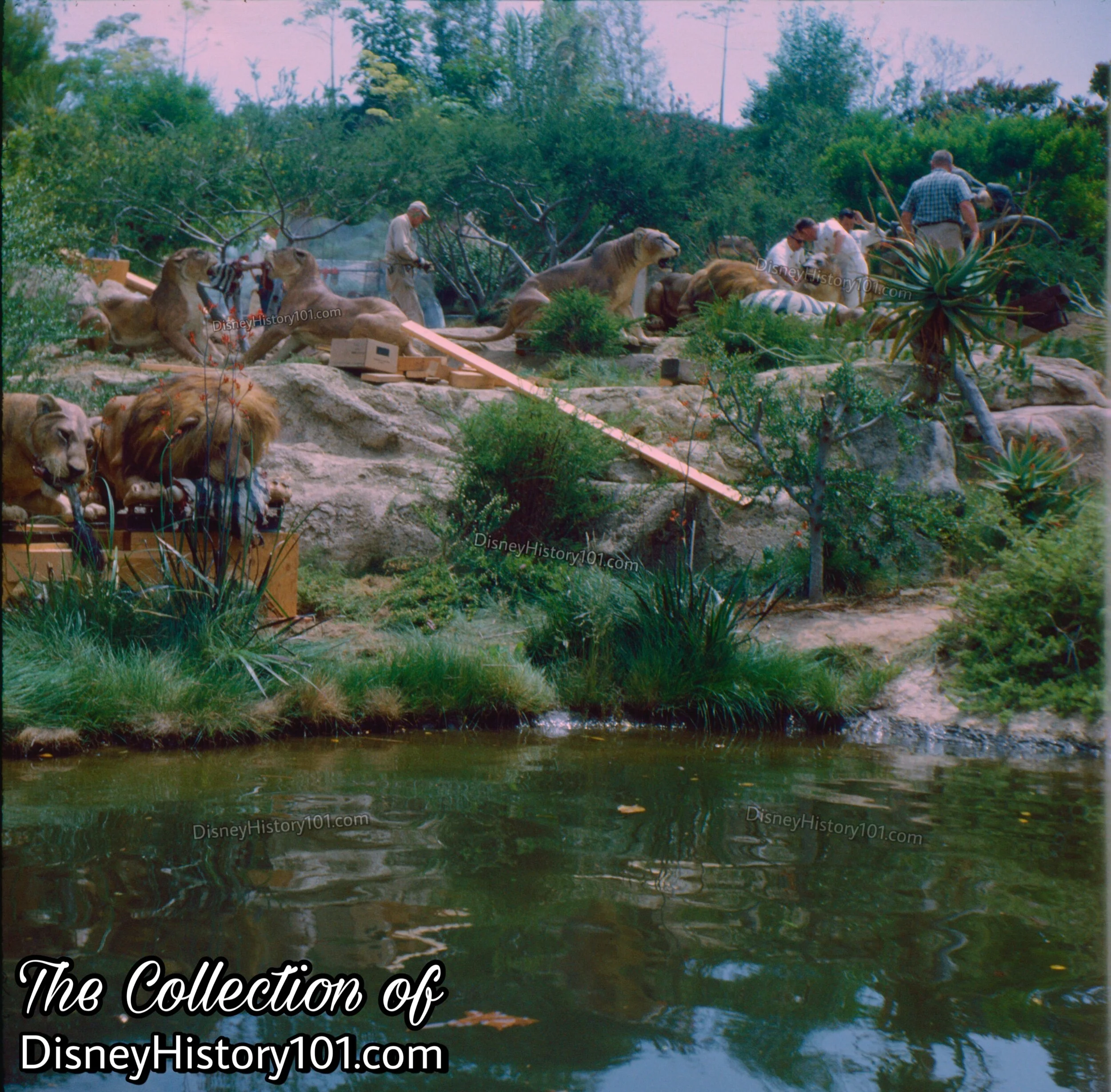 AFRICAN VELDT installation; c. July, 1964.