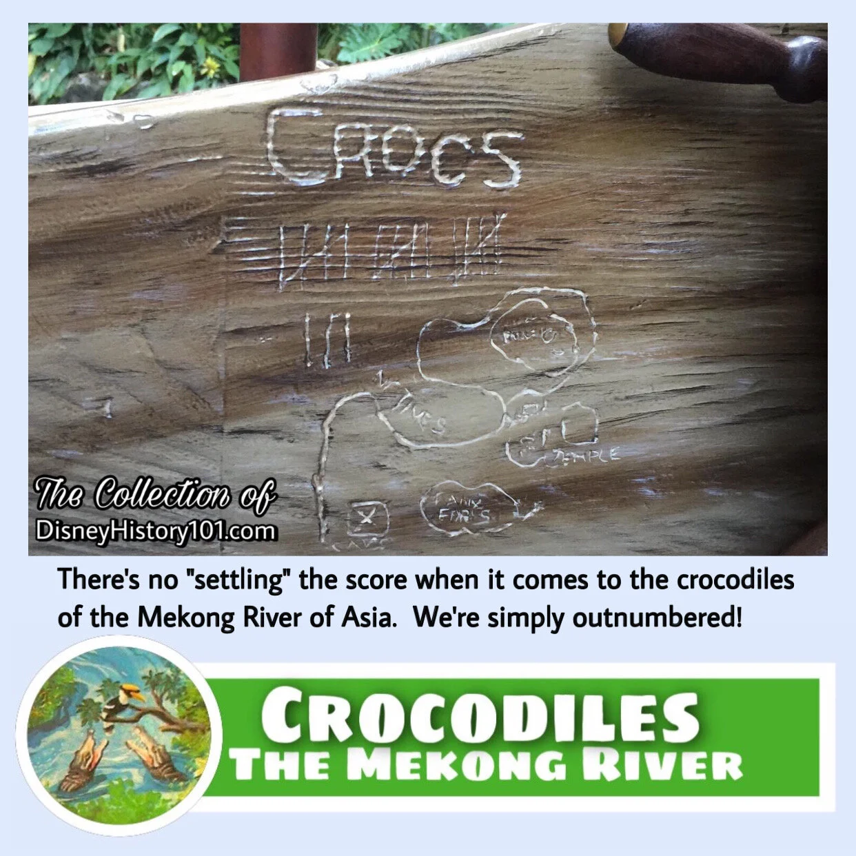   “…And now, we’re on a broader stream - the Mekong River of Cochin, China” , according to c.1955  Jungle River Cruise  narration. The true-life  Mekong River  flows thru the countries of Laos, Thailand, and Cambodia. Those waters and shores are home