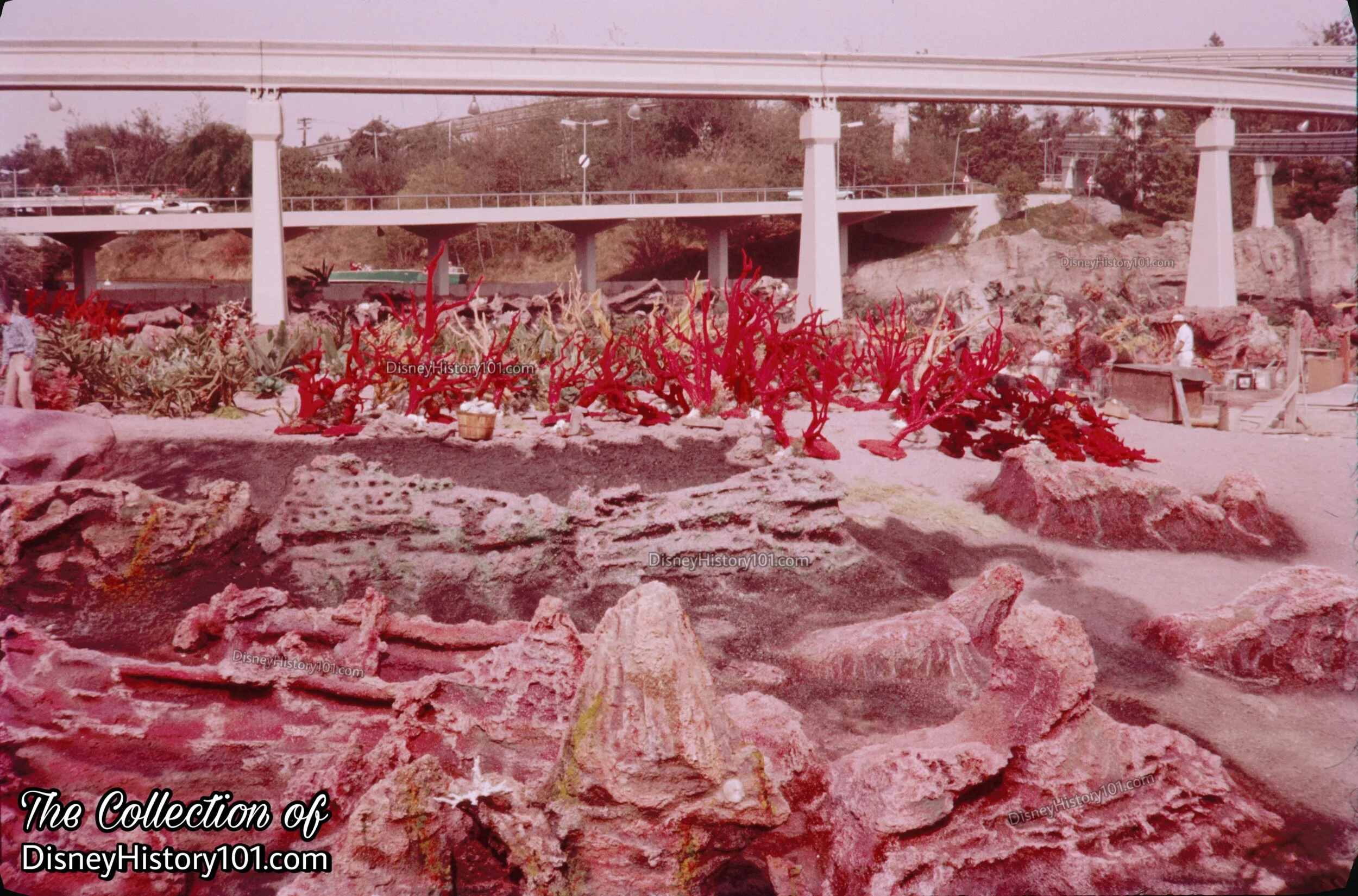 Front Lagoon drained