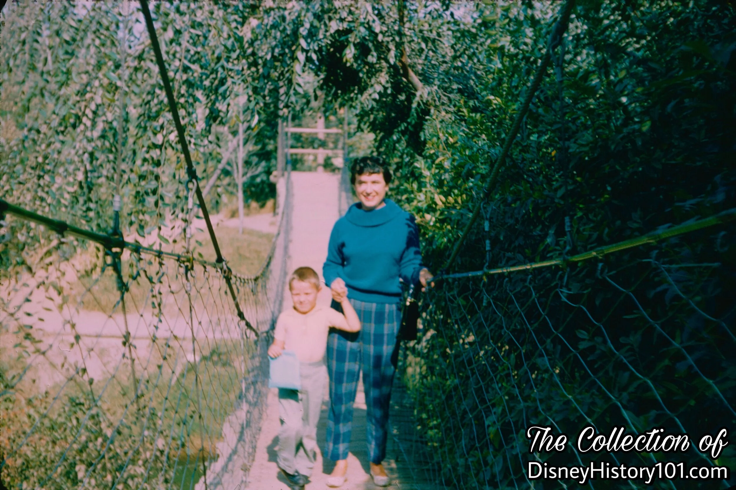Suspension Bridge, (November, 1960)