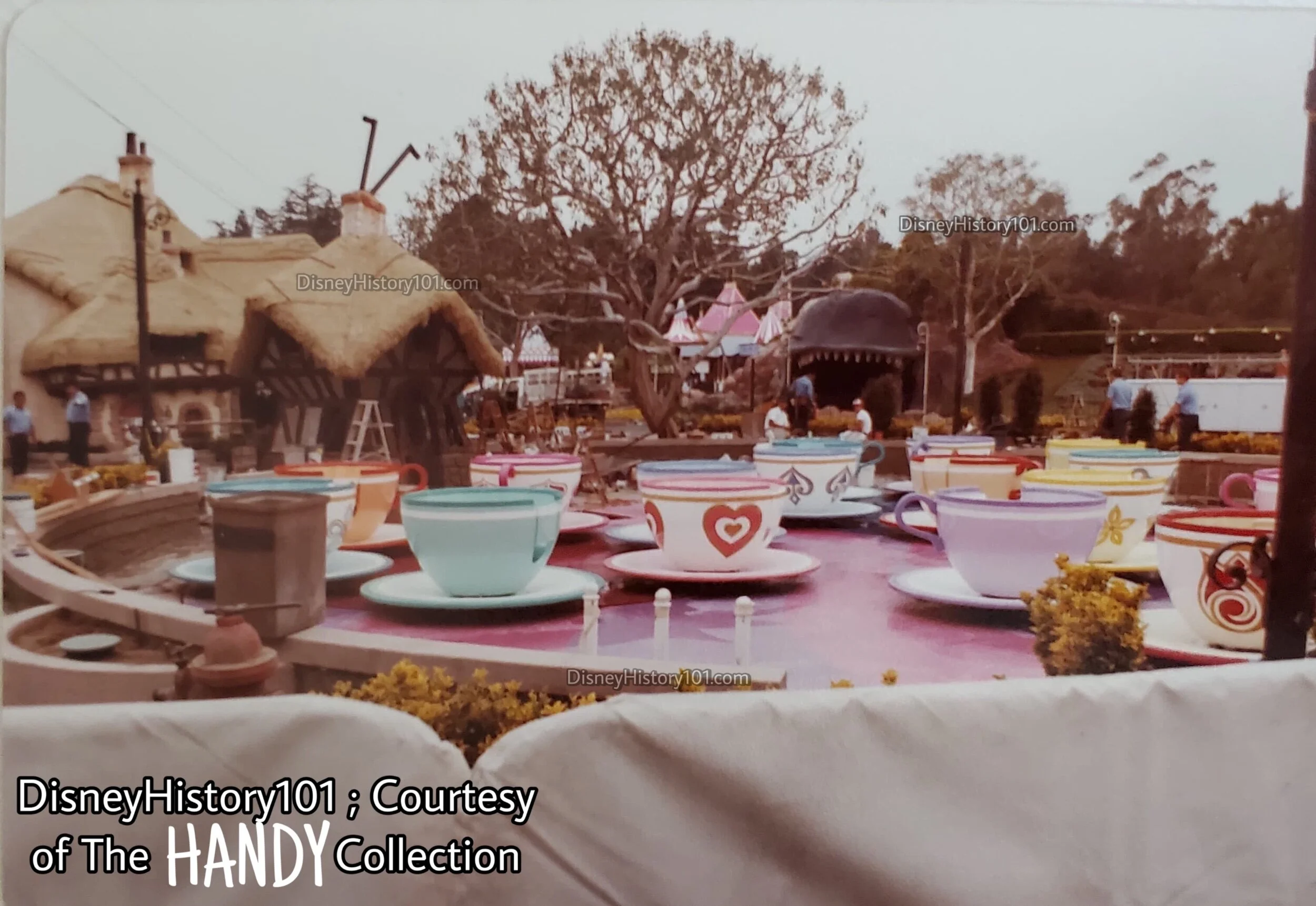 MAD PARTY TEA CUPS