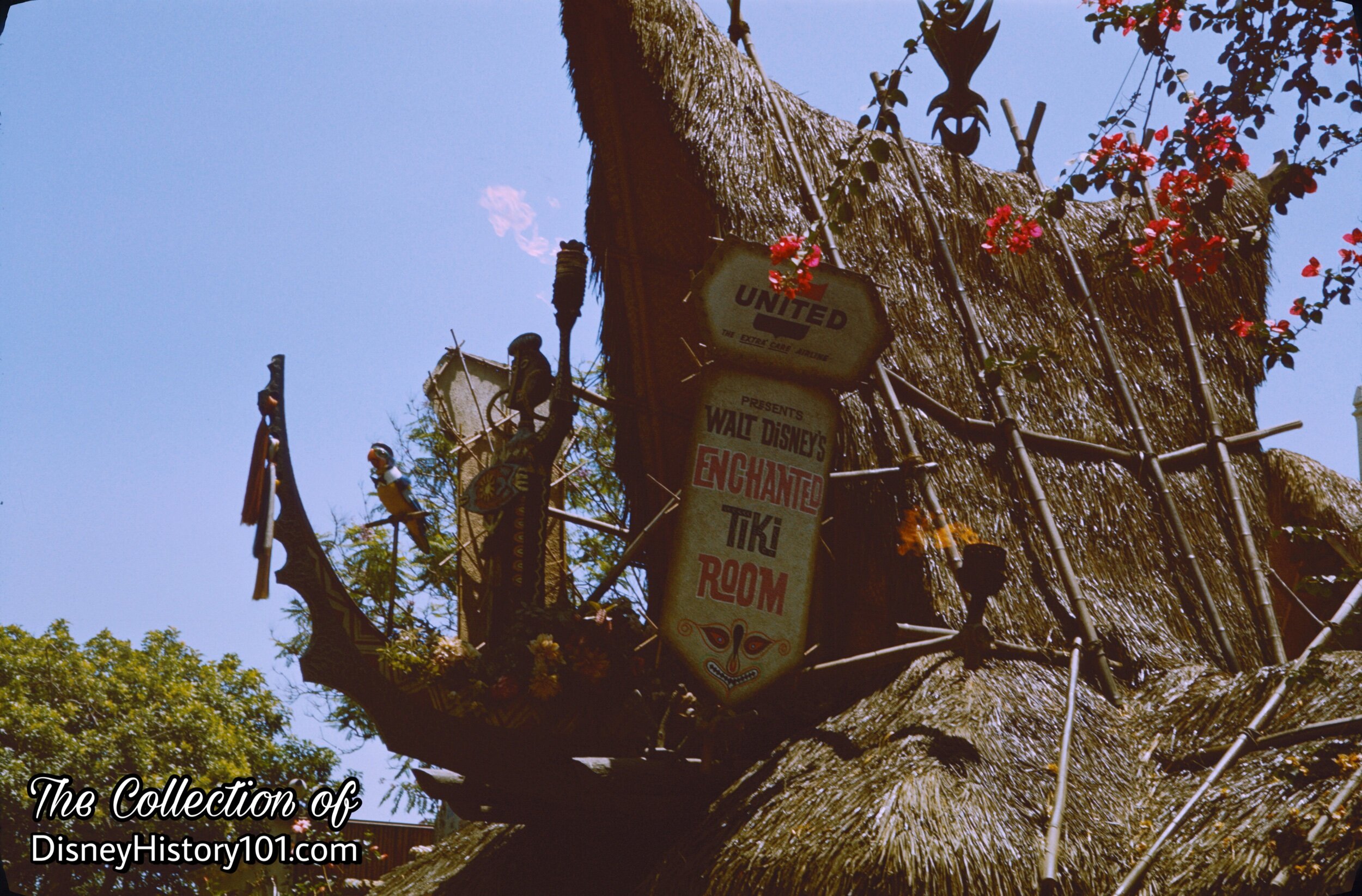 Juan the Barker Bird above the "A" Frame Entrance to Walt Disney's Enchanted Tiki Room; July, 1966.