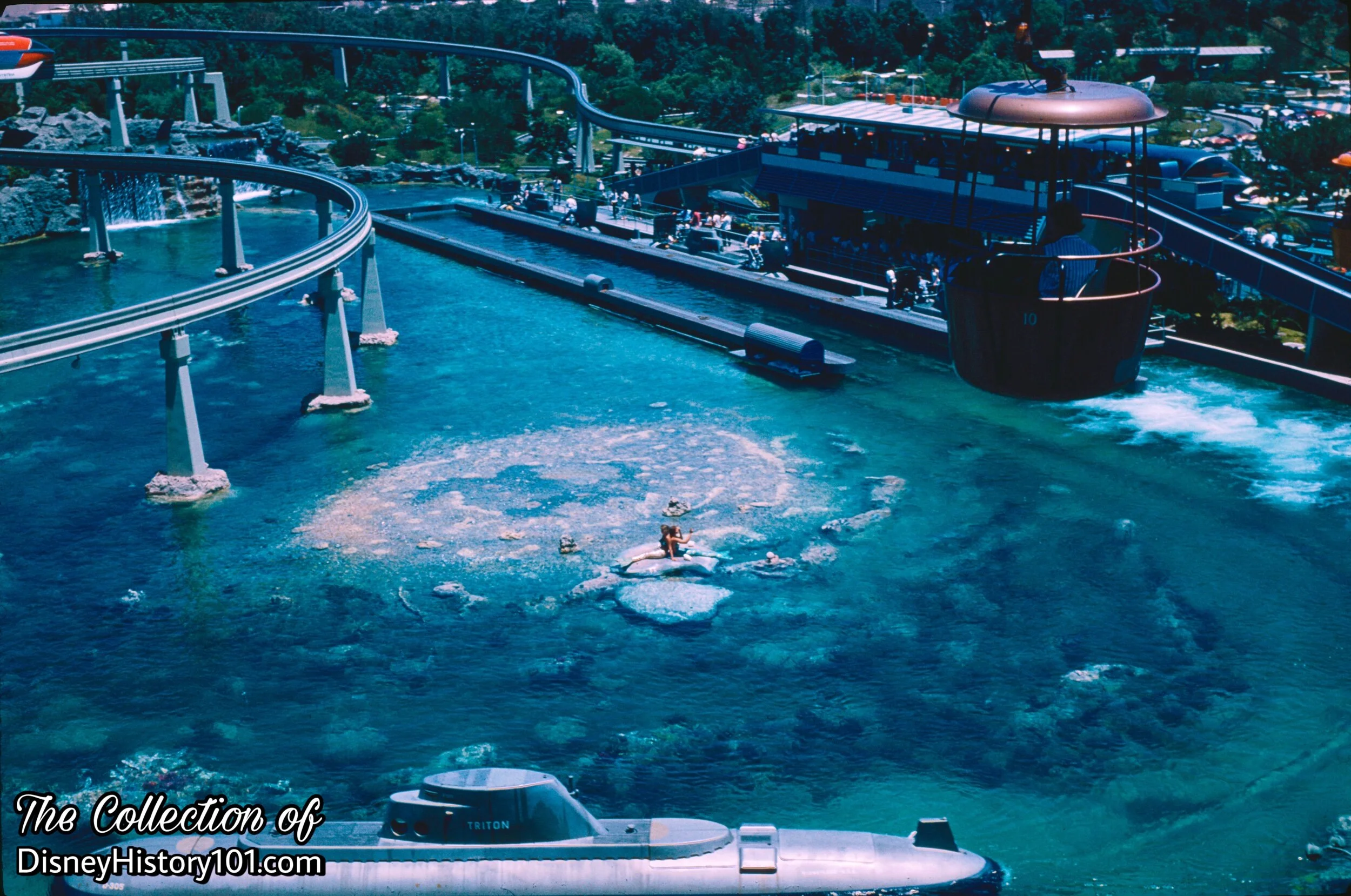 Living Mermaids From Mythical Times in The Front Lagoon