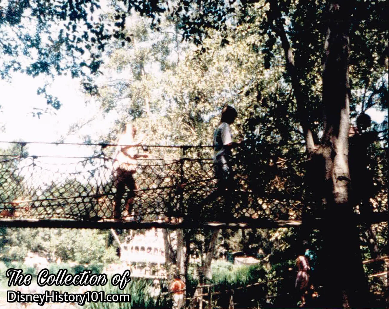 Suspension Bridge