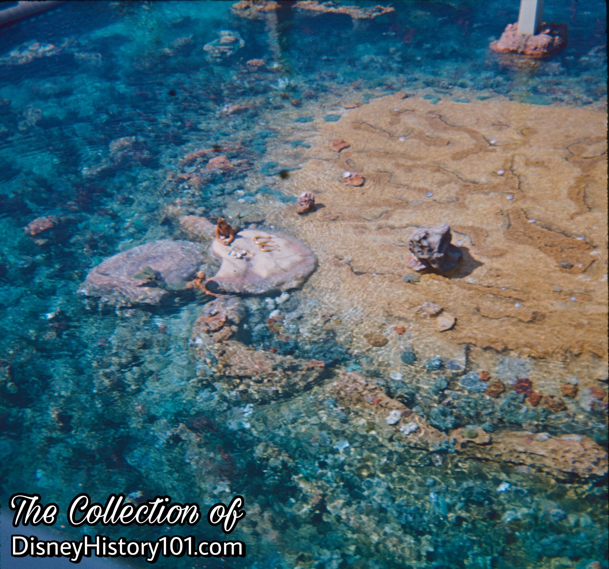 Living Mermaids From Mythical Times, (July, 1966)