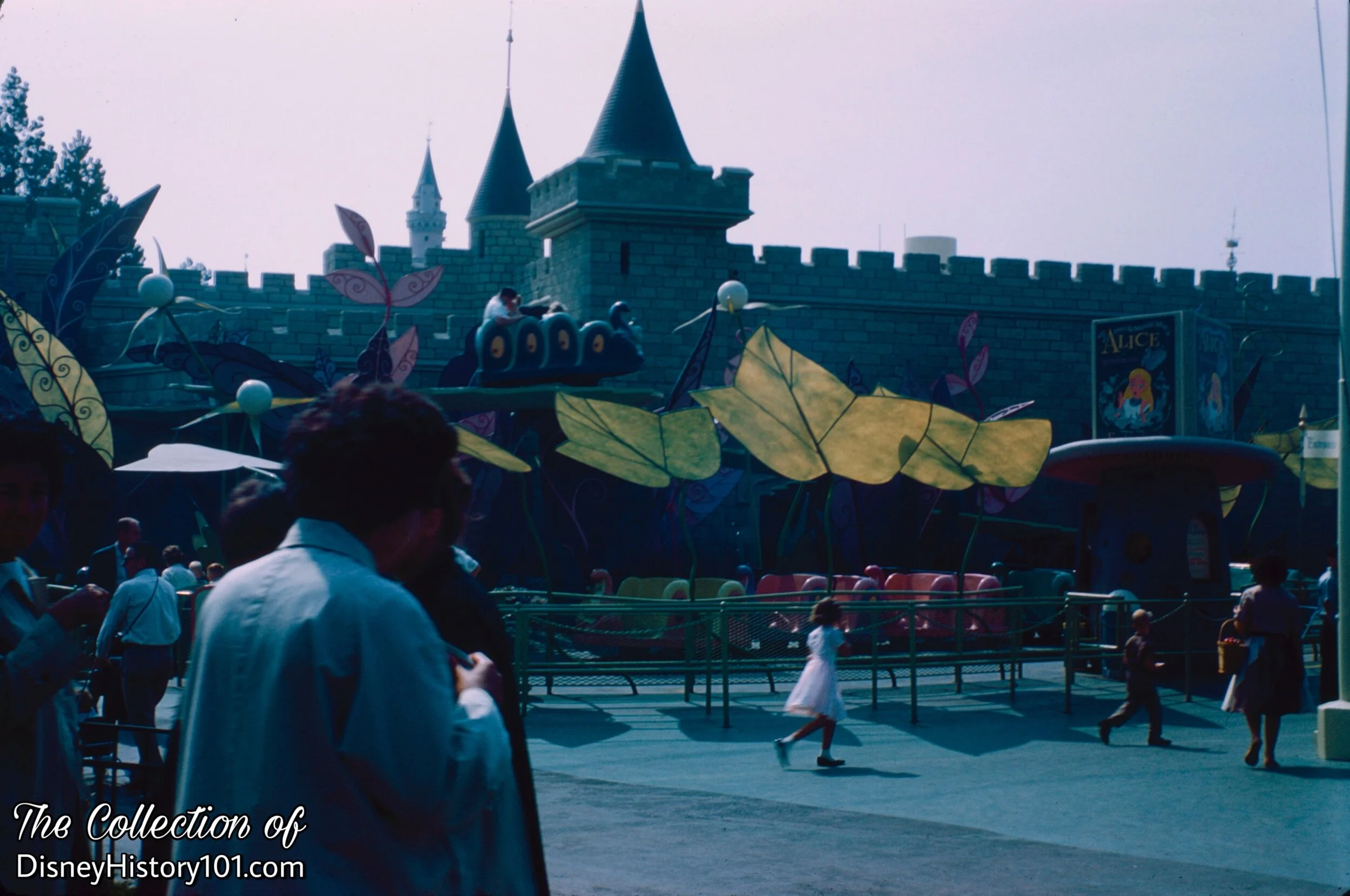 Alice in Wonderland, (October, 1961)