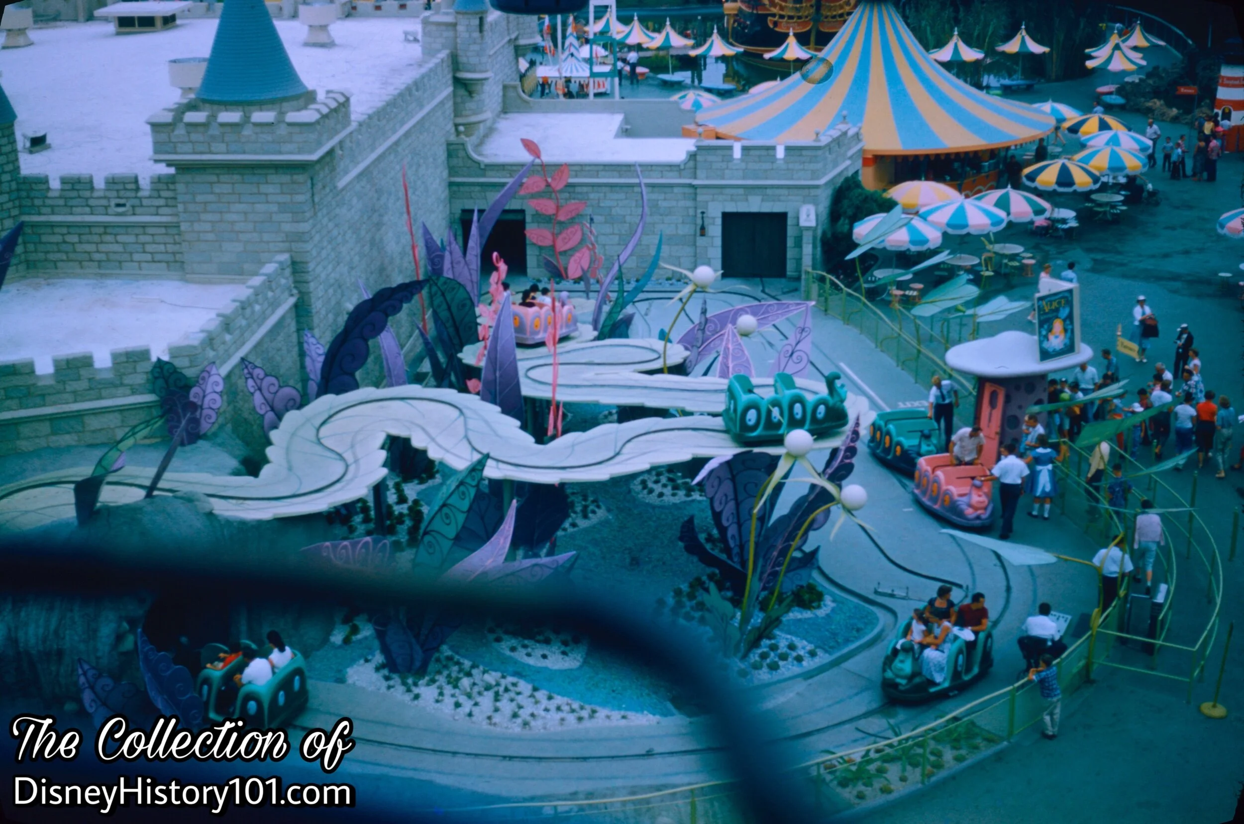 Alice in Wonderland