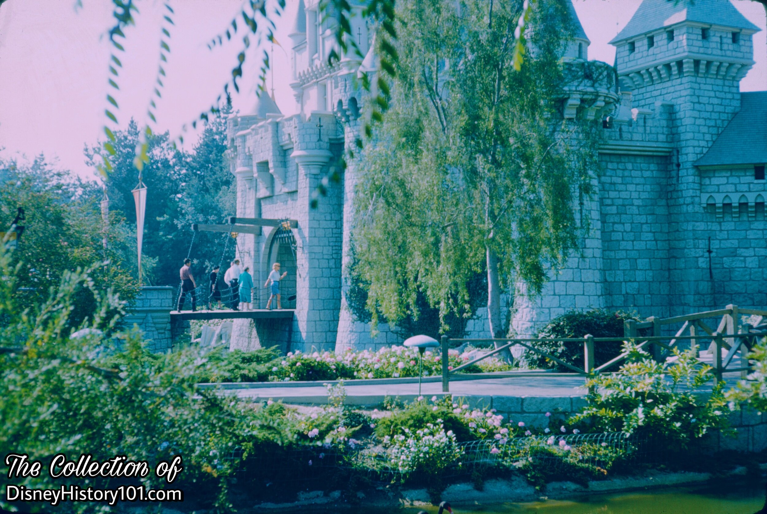 Sleeping Beauty Castle